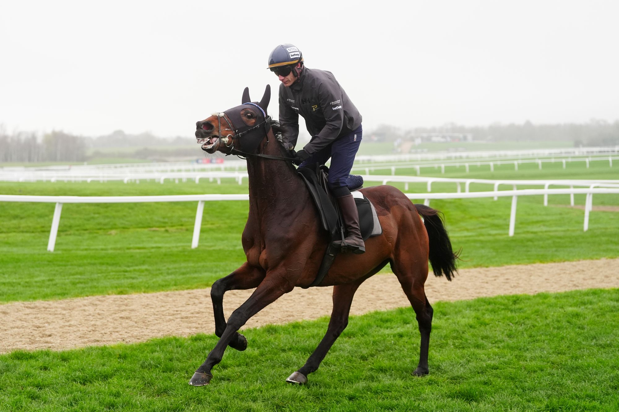 Paul Townend aboard Kopek Des Bordes on the gallops at Cheltenham