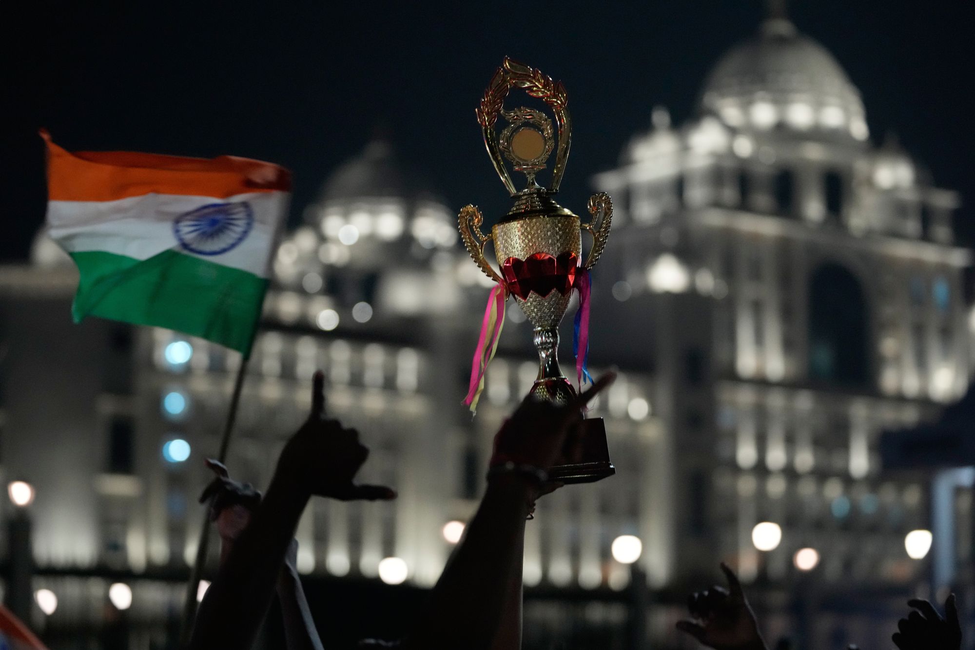 Cricket fans celebrate after India won the T20 World Cup final match against New Zealand, in Hyderabad, India