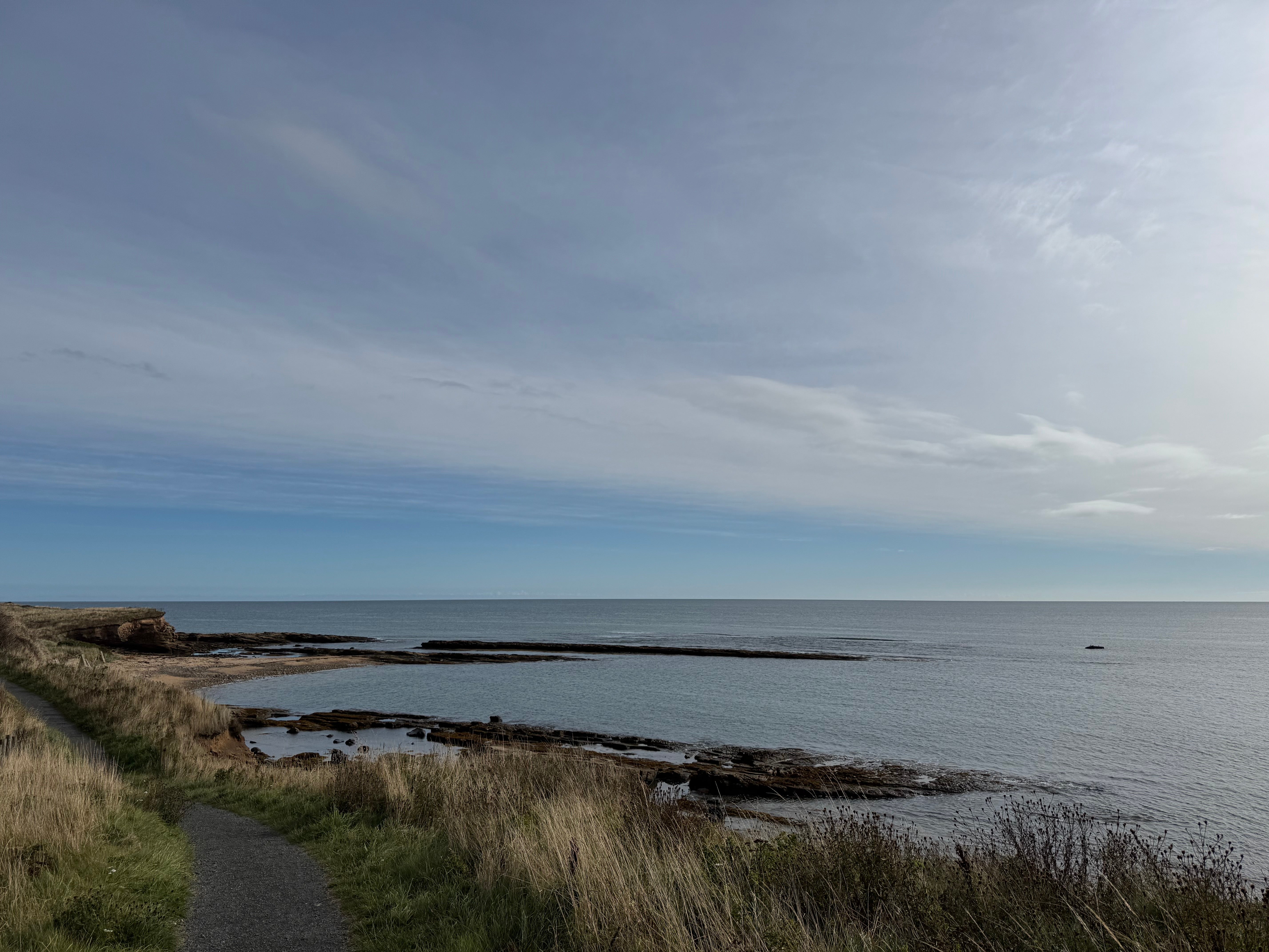 Officers were called by HM Coastguard at around 21:15 BST on Tuesday following reports that a man was in the water near Boulmer, Northumberland.