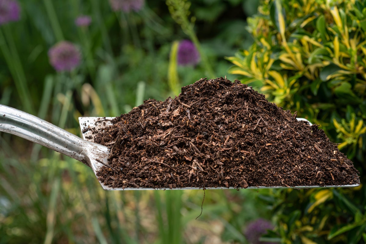 What to put in your compost bin – and five things to always leave out