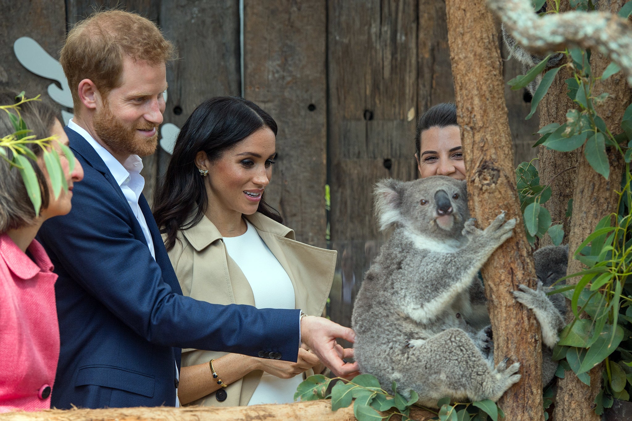 Harry and Meghan meet a koala named Ruby on a visit to Sydney’s Taronga Zoo in 2018
