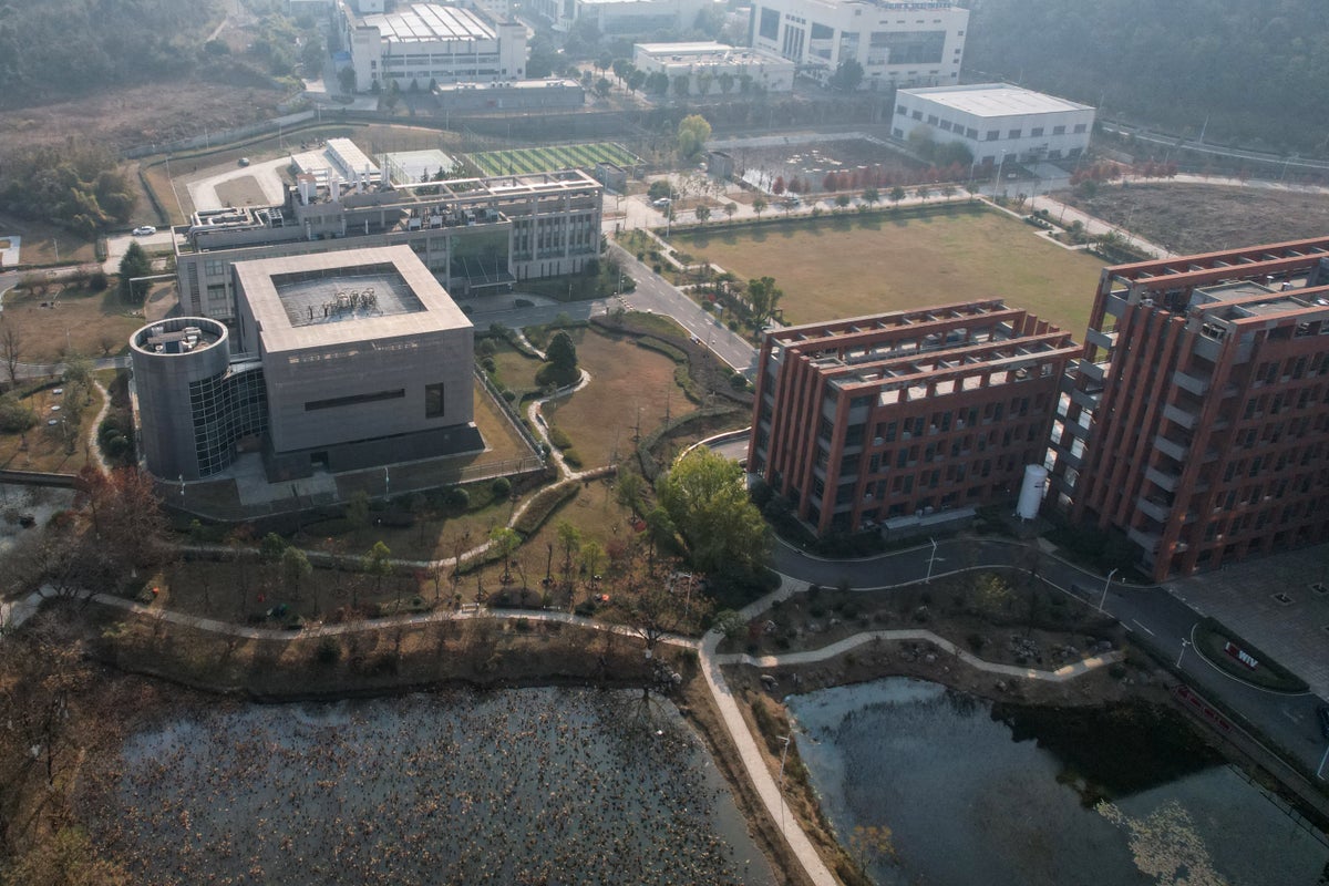 https://static.independent.co.uk/2026/03/10/7/56/Aerial-view-of-the-P4-laboratory-L-on-the-campus-of-the-Wuhan-Institute-of-Virology.jpeg?width=1200&height=800&crop=1200:800