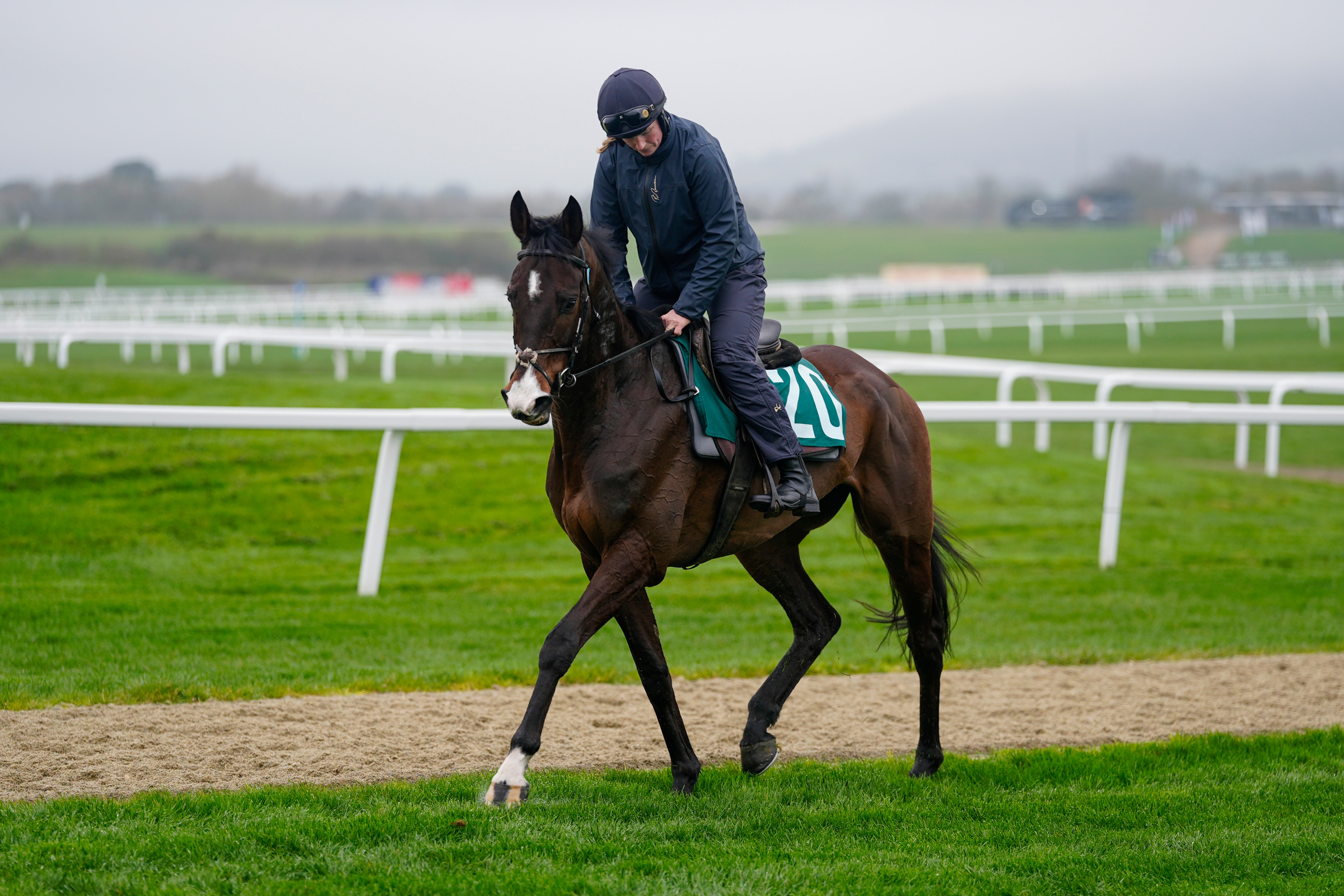 Majborough goes on Wednesday