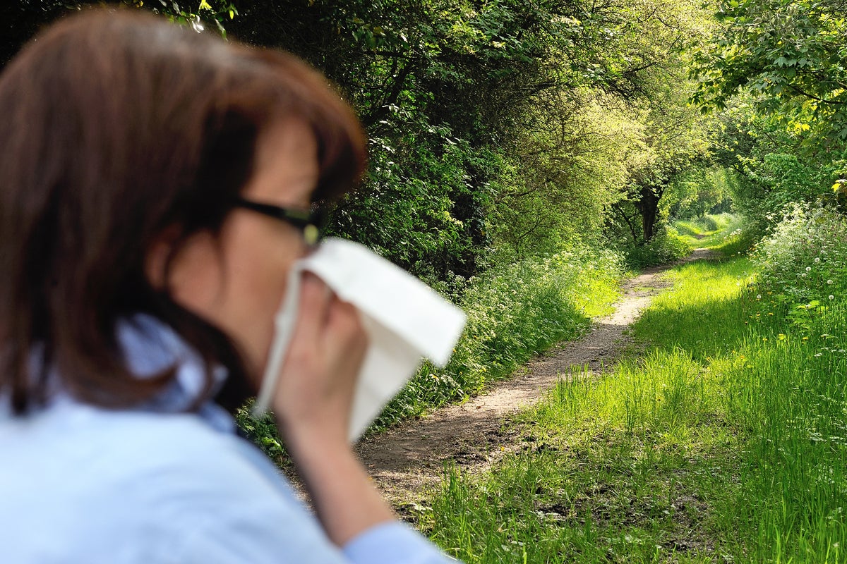 Met Office issues hay fever alert for people in these areas Met Office issues hay fever alert for people in these areas