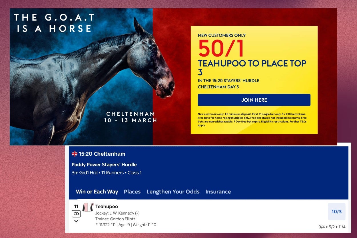 Claim 50/1 enhanced odds for Teahupoo to place in the Stayers’ Hurdle