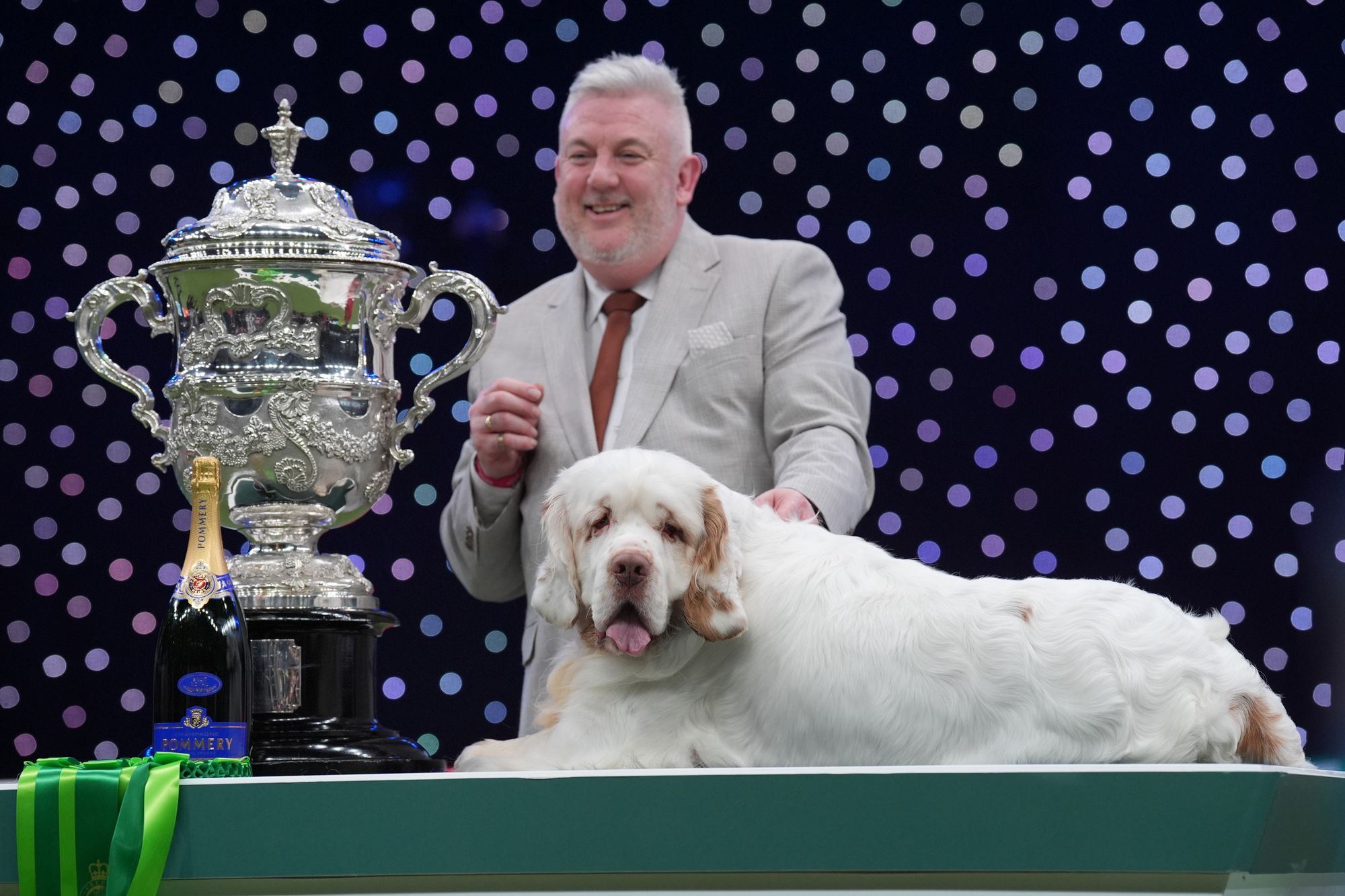 Lee Cox was announced the winner of the international dog show on Sunday