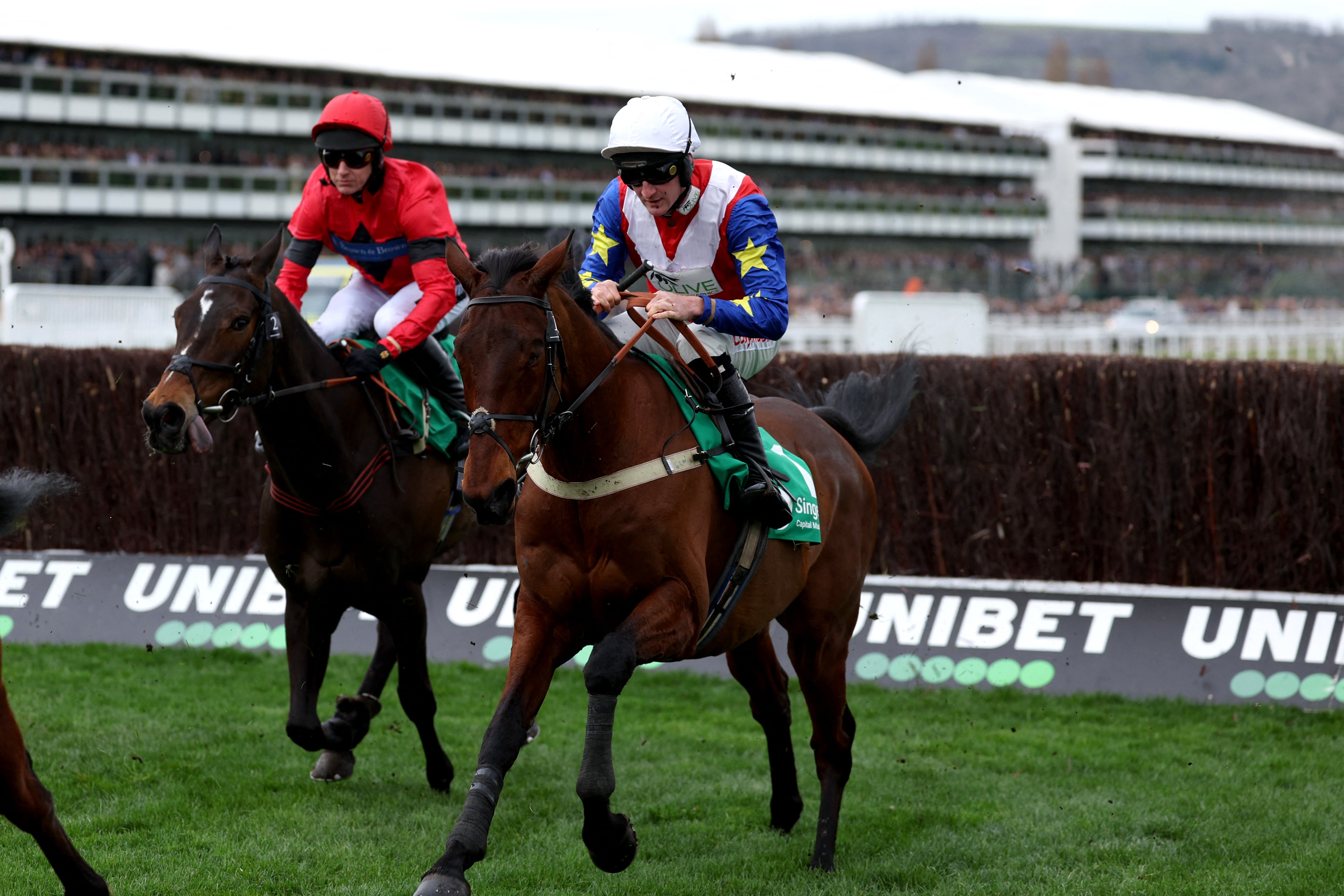 Hansard died on day one at Cheltenham after suffering a fatal injury