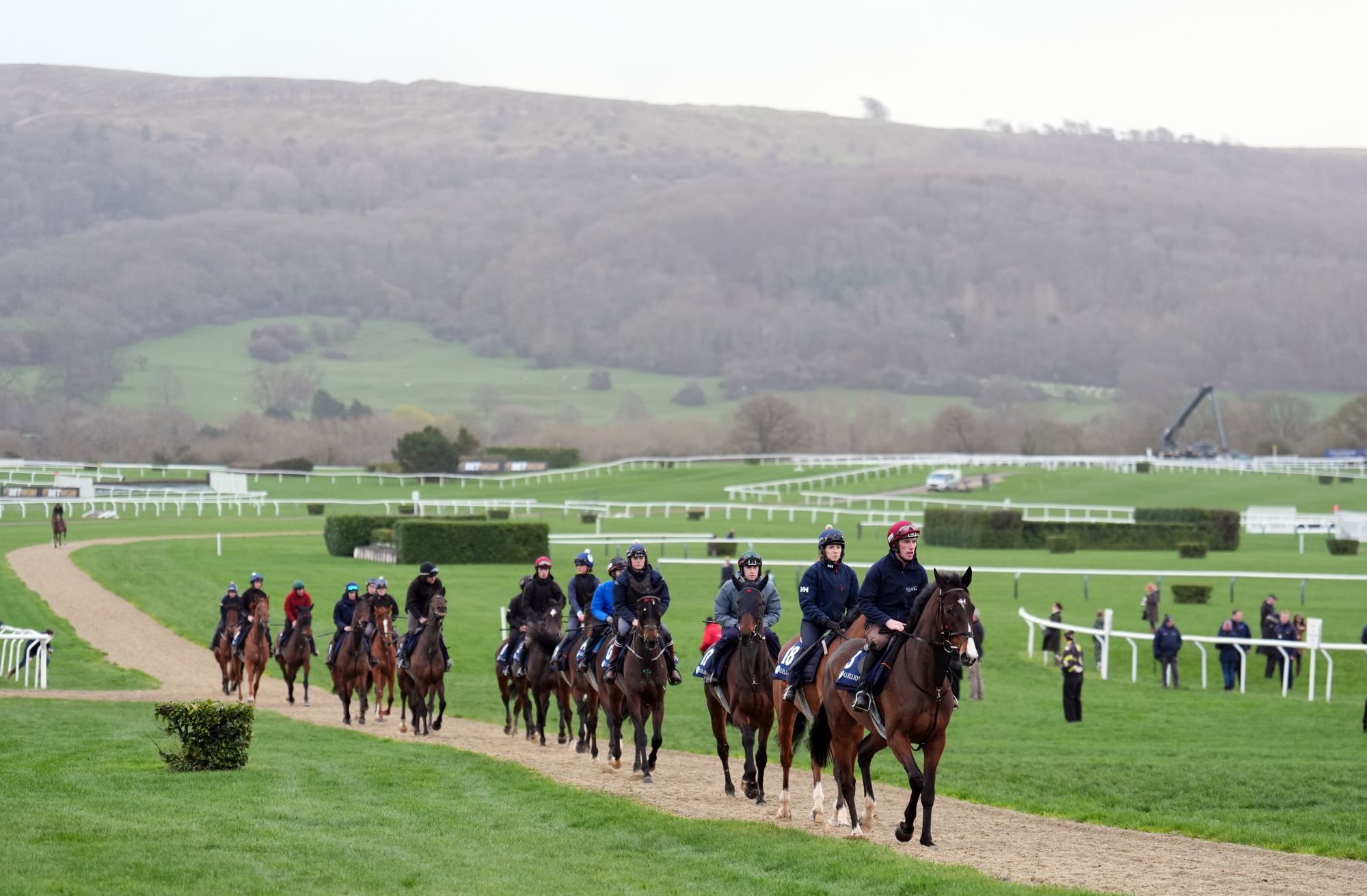Gordon Elliott’s horse were on the gallops as well