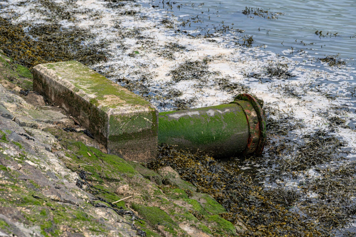 Untreated sewage spilled into English rivers, seas and lakes once every two minutes in 2025