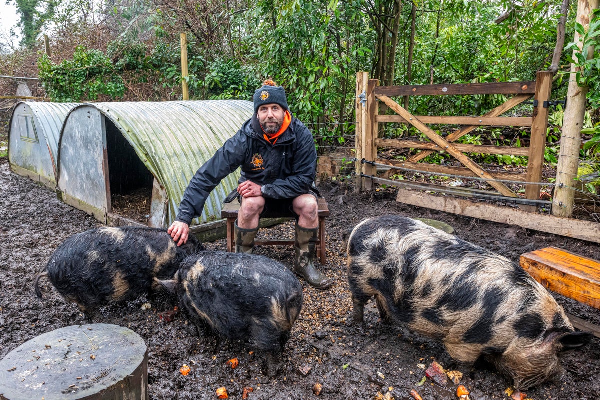 Outdoor centre forced to rehome beloved therapy pigs after council row