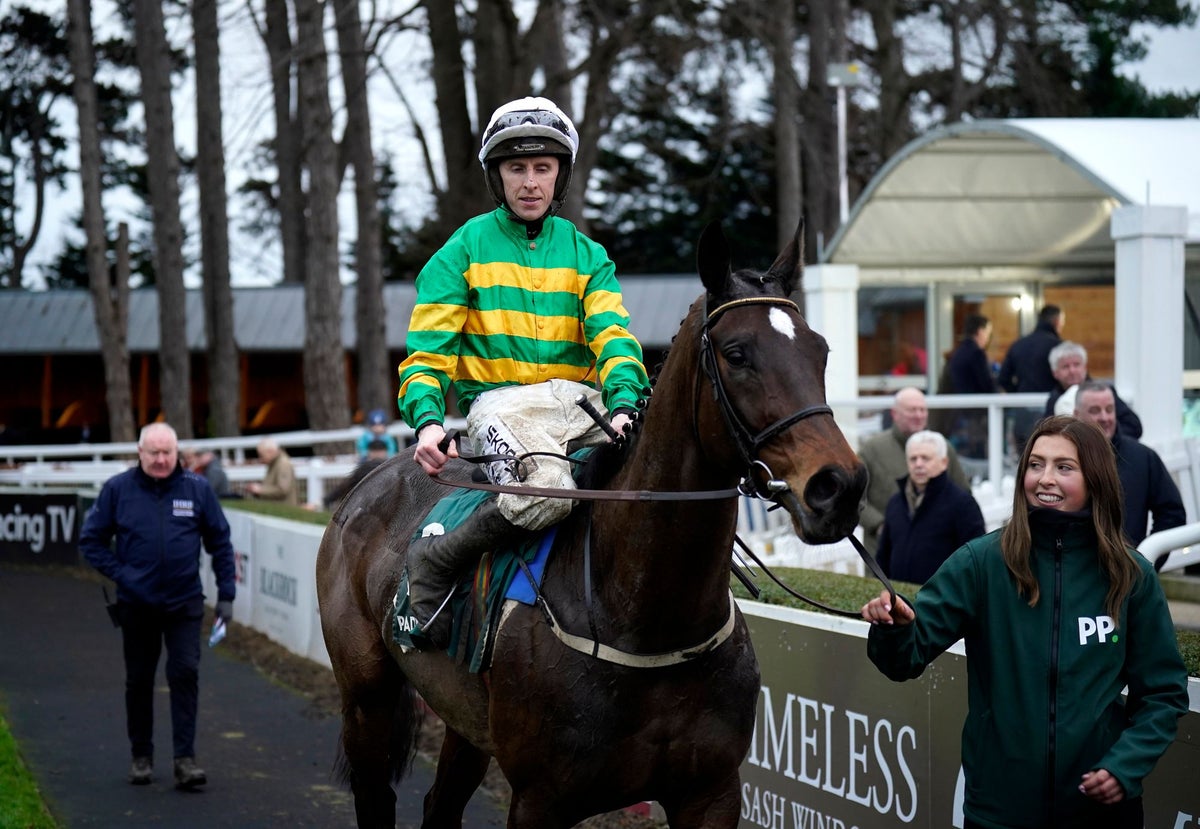 Willie Mullins makes Cheltenham Festival threat after Fact to File withdraws  from Ryanair Chase | The Independent