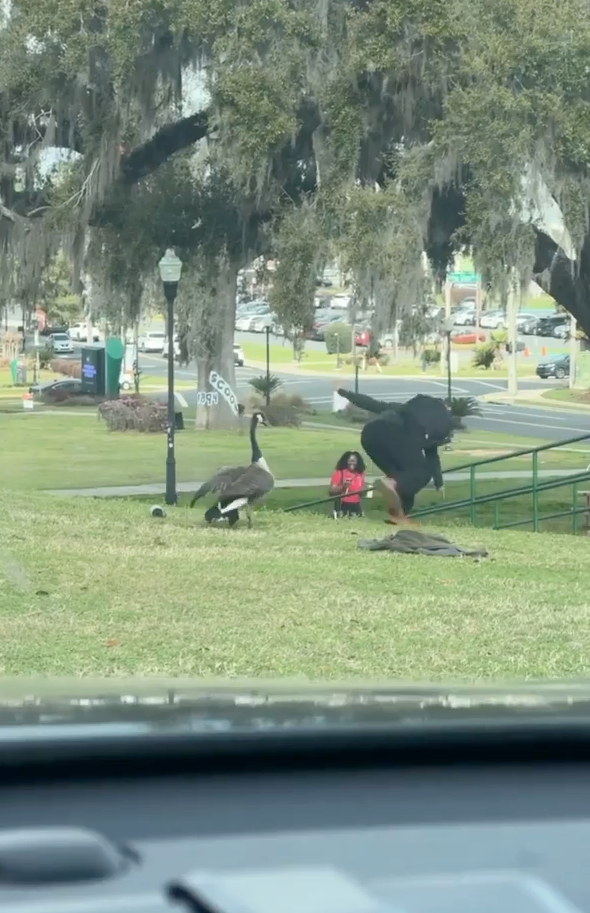 Aggressive goose goes viral after terrorizing Florida A&M students on campus