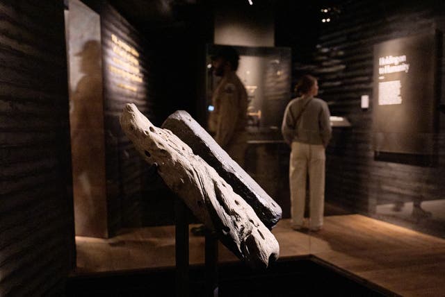 SMITHSONIAN-BARCO NEGRERO