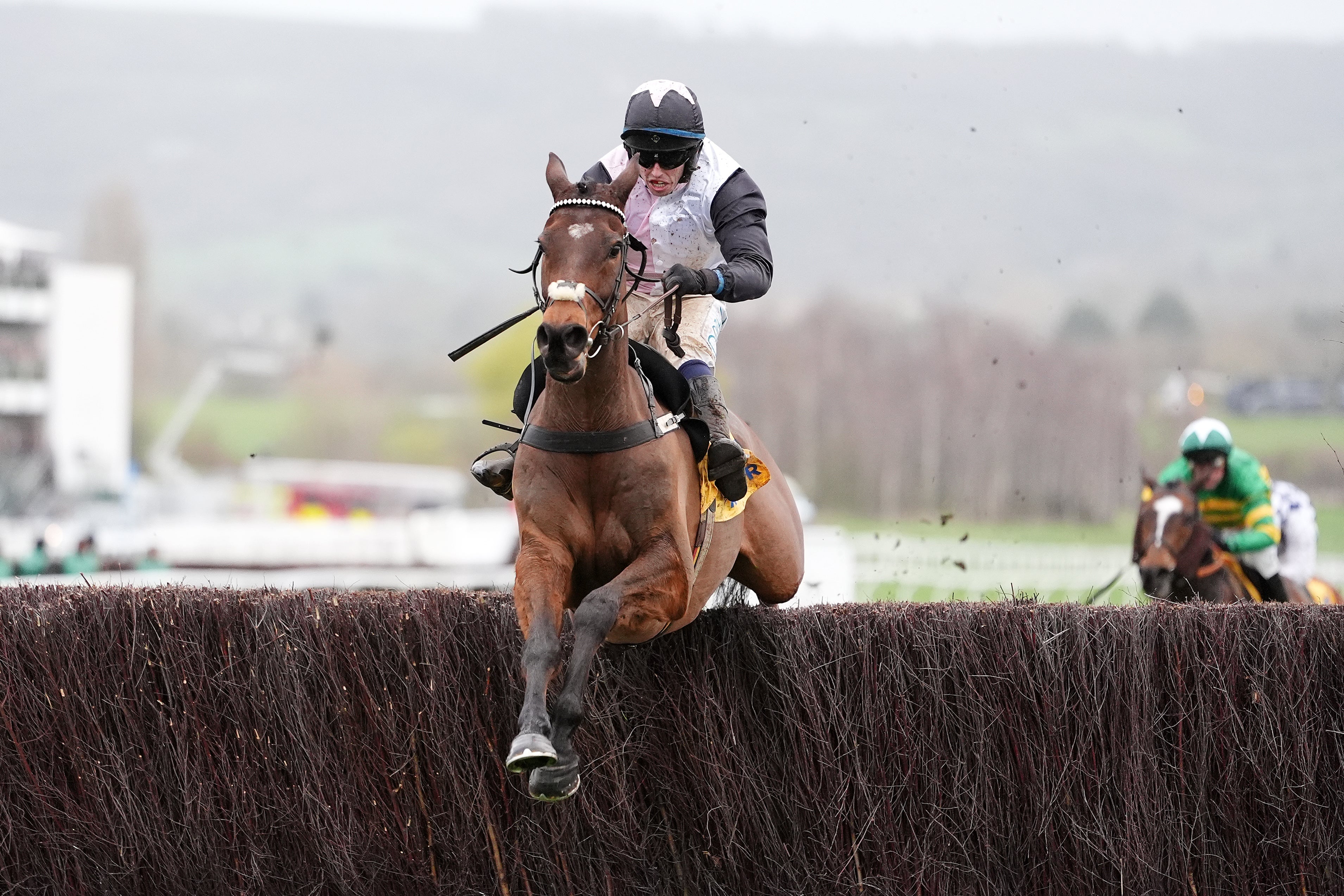 Heart Wood cleared the last and took the Ryanair title ahead of Jonbon