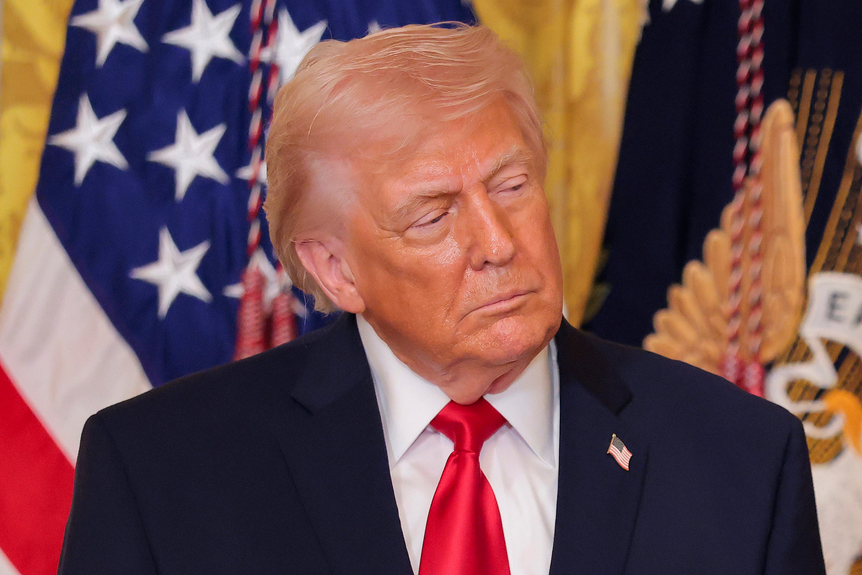 Pope Leo takes a veiled swipe at Trump over Iran war: ‘Go to confession’