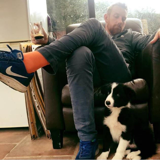 Matthew Wiggins is a dog trainer to the stars