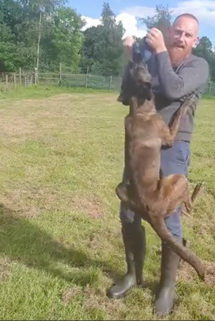 Matt Wiggins says the looming acquisition damaged the business