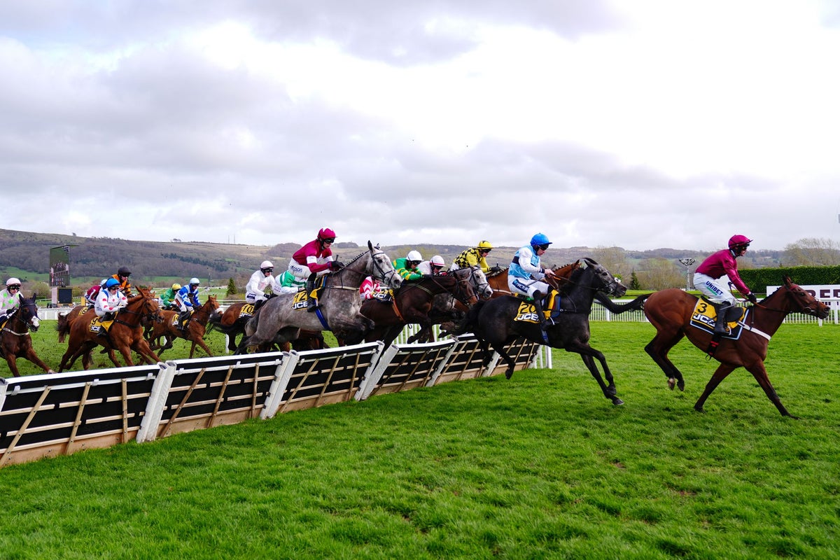 Cheltenham Festival Gold Cup LIVE: Results and tips as Harry Redknapp and The Jukebox Man go for glory after 2.40 Mares Steeple Chase – UK Times