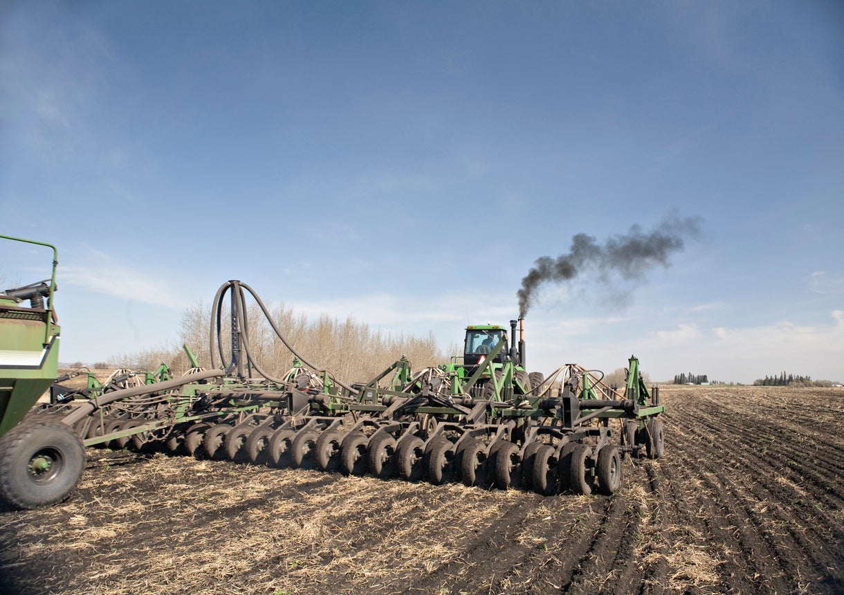 UK food prices could spike as fertiliser supplies at risk due to Iran war