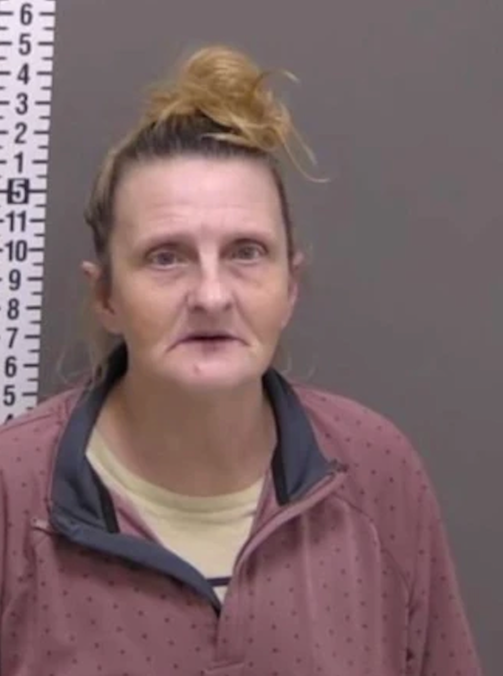 Grandmother Jailed For 6 Months After AI Error Linked Her To A Crime In 