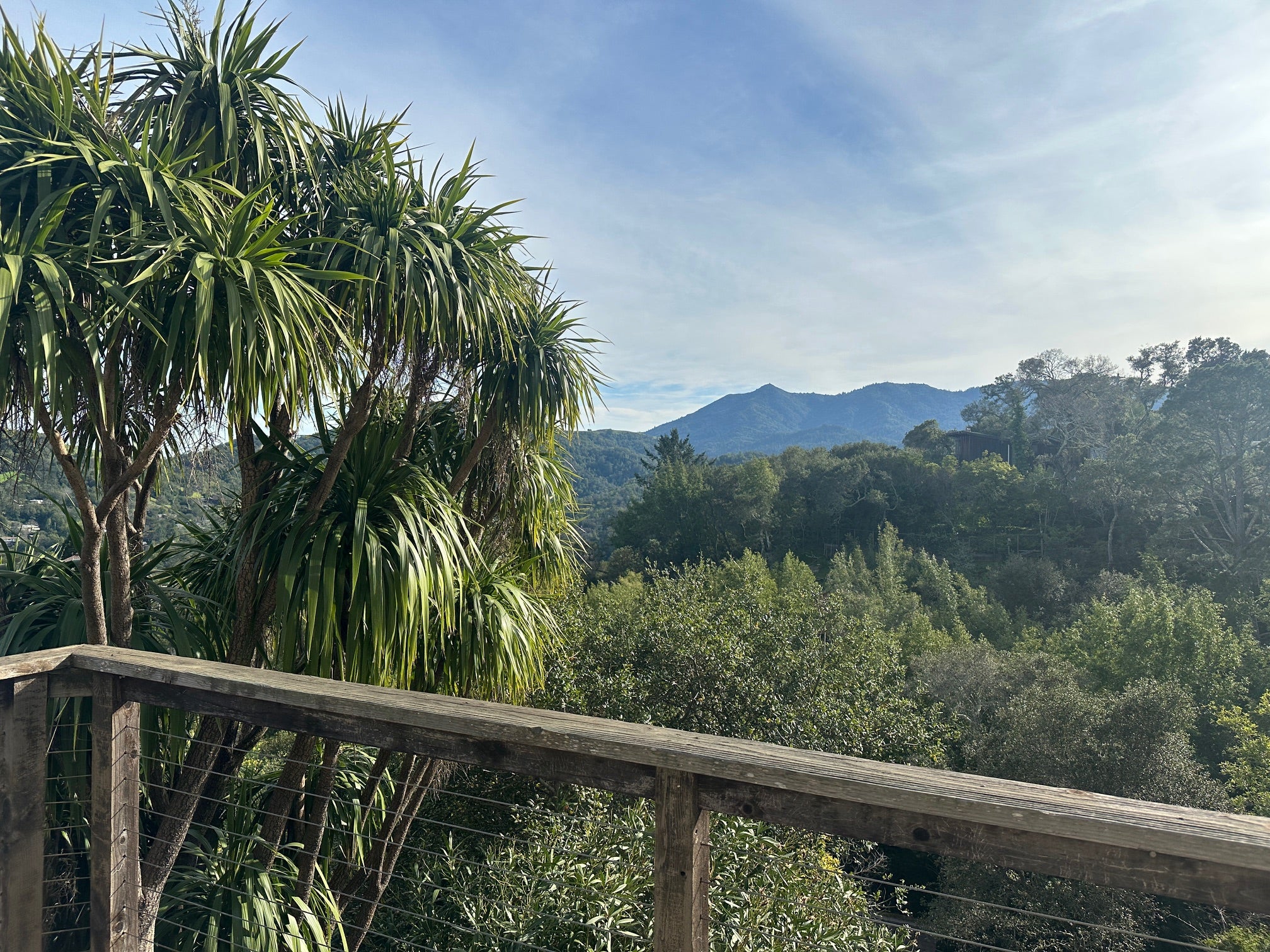 <p>The stunning view from Slim’s Northern California home, looking out across Mount Tamalpais to the Bay</p>