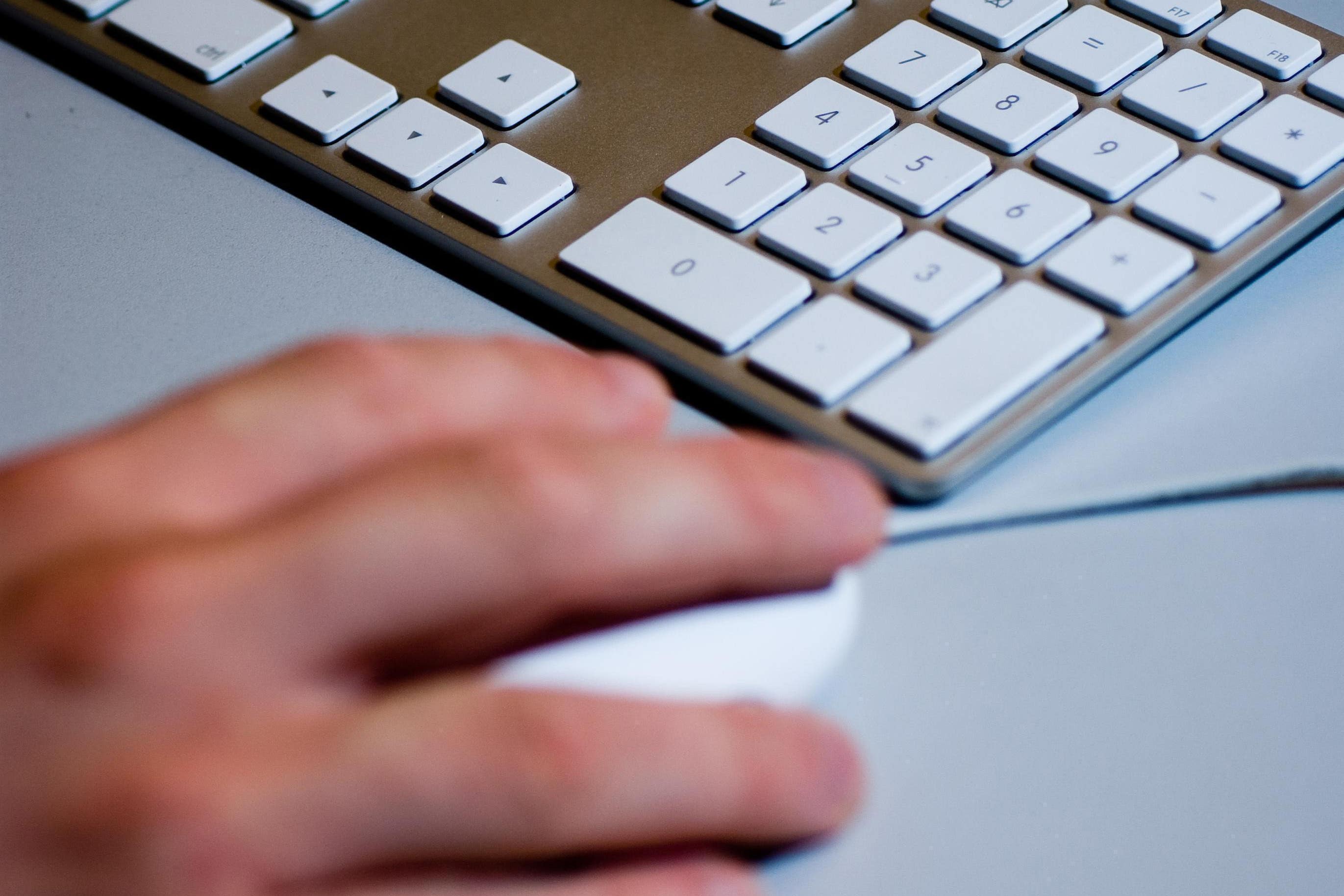 The vulnerability allowed users to see other companies’ data (Adam Peck /PA)