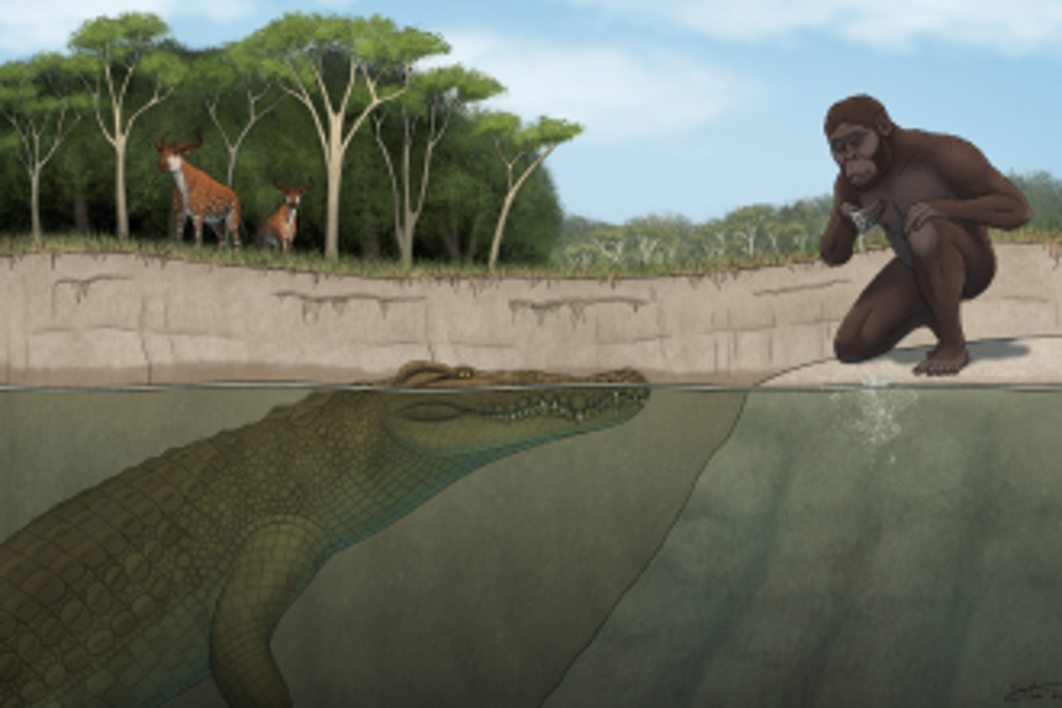 Scientists discover half-tonne, 15ft giant crocodile that hunted our ancestor ‘Lucy’ – UK Times Scientists discover half-tonne, 15ft giant crocodile that hunted our ancestor ‘Lucy’ – UK Times