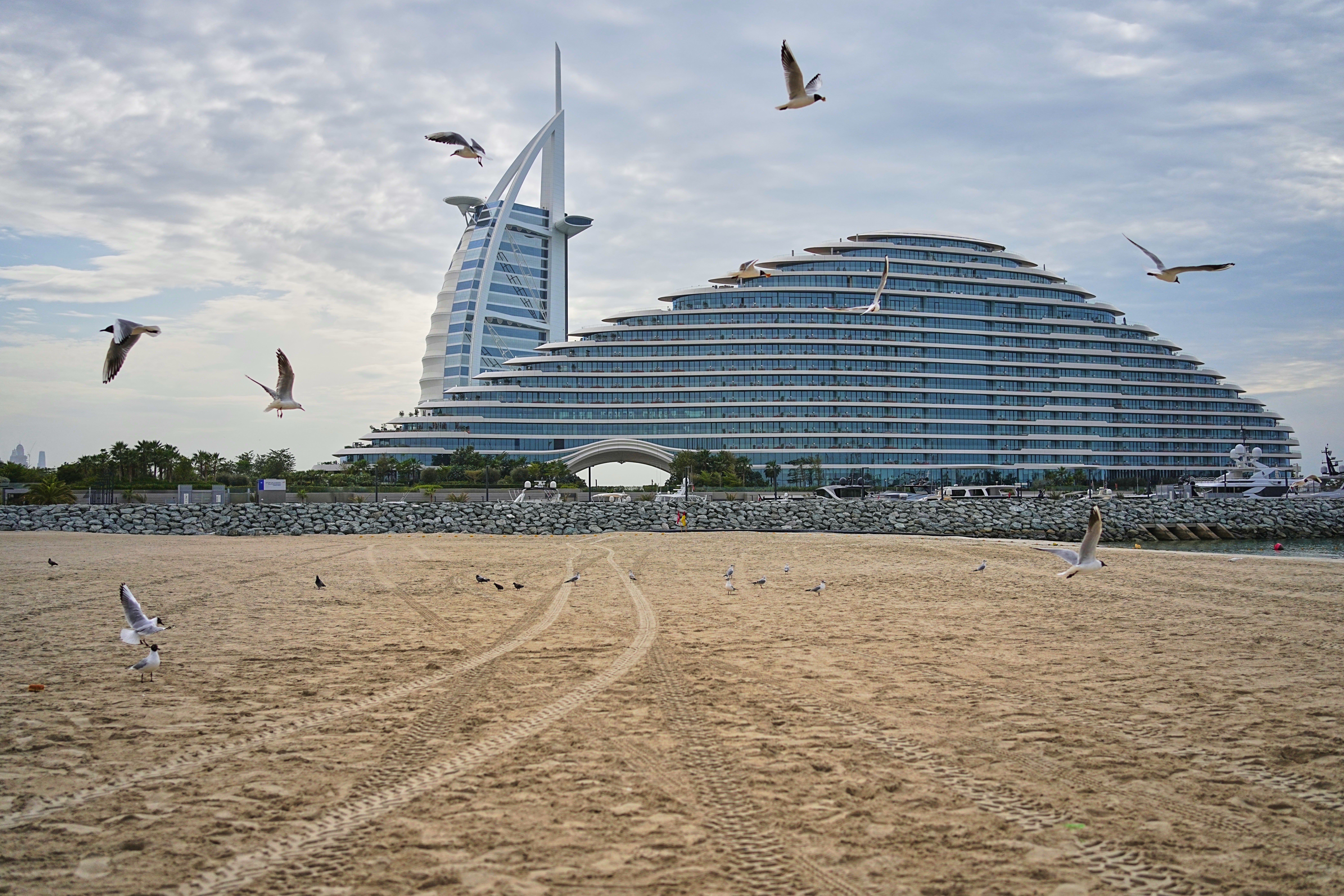Seagulls fly over an empty beach in Dubai