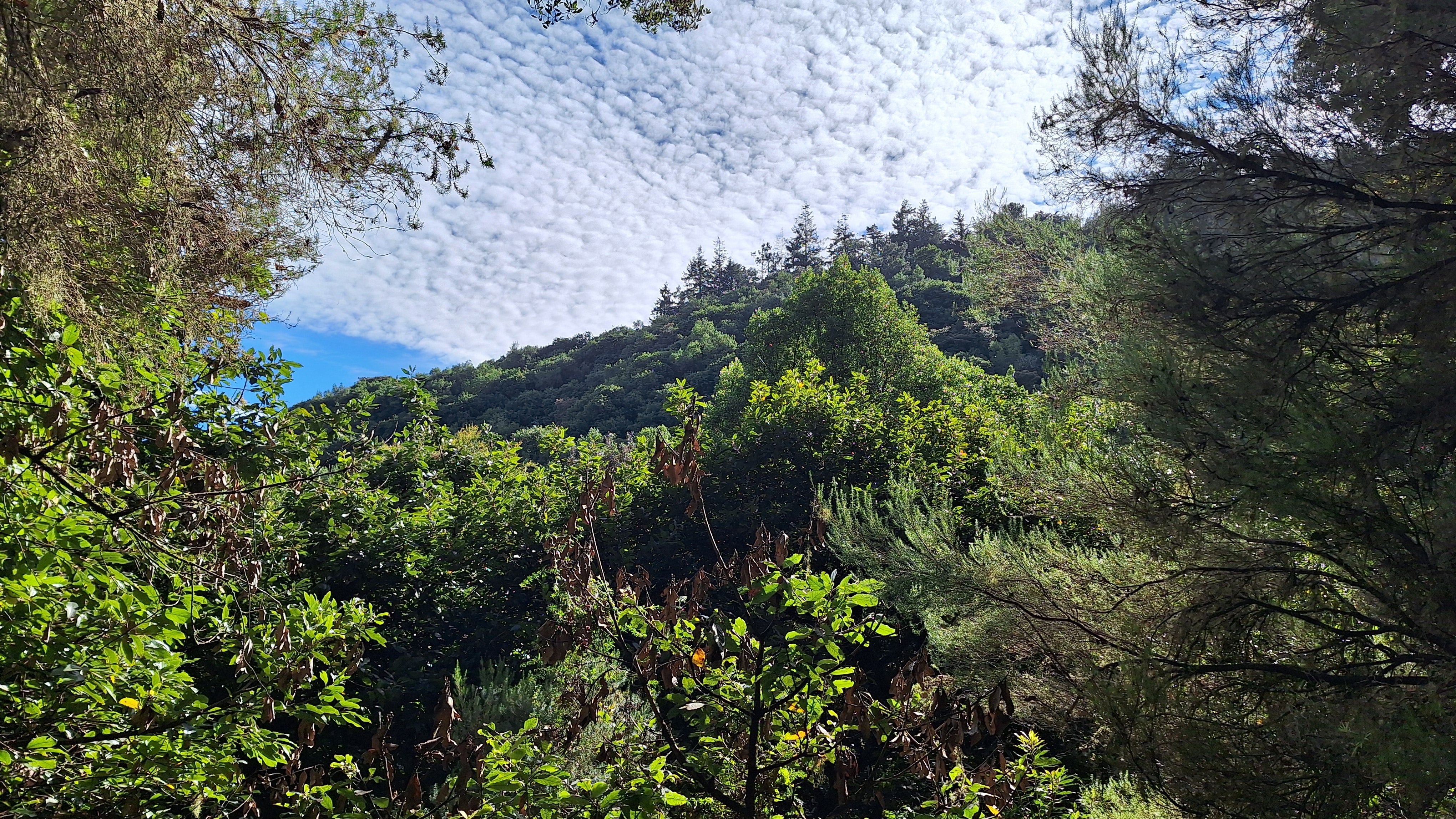 Cominho Para Todos in Madeira