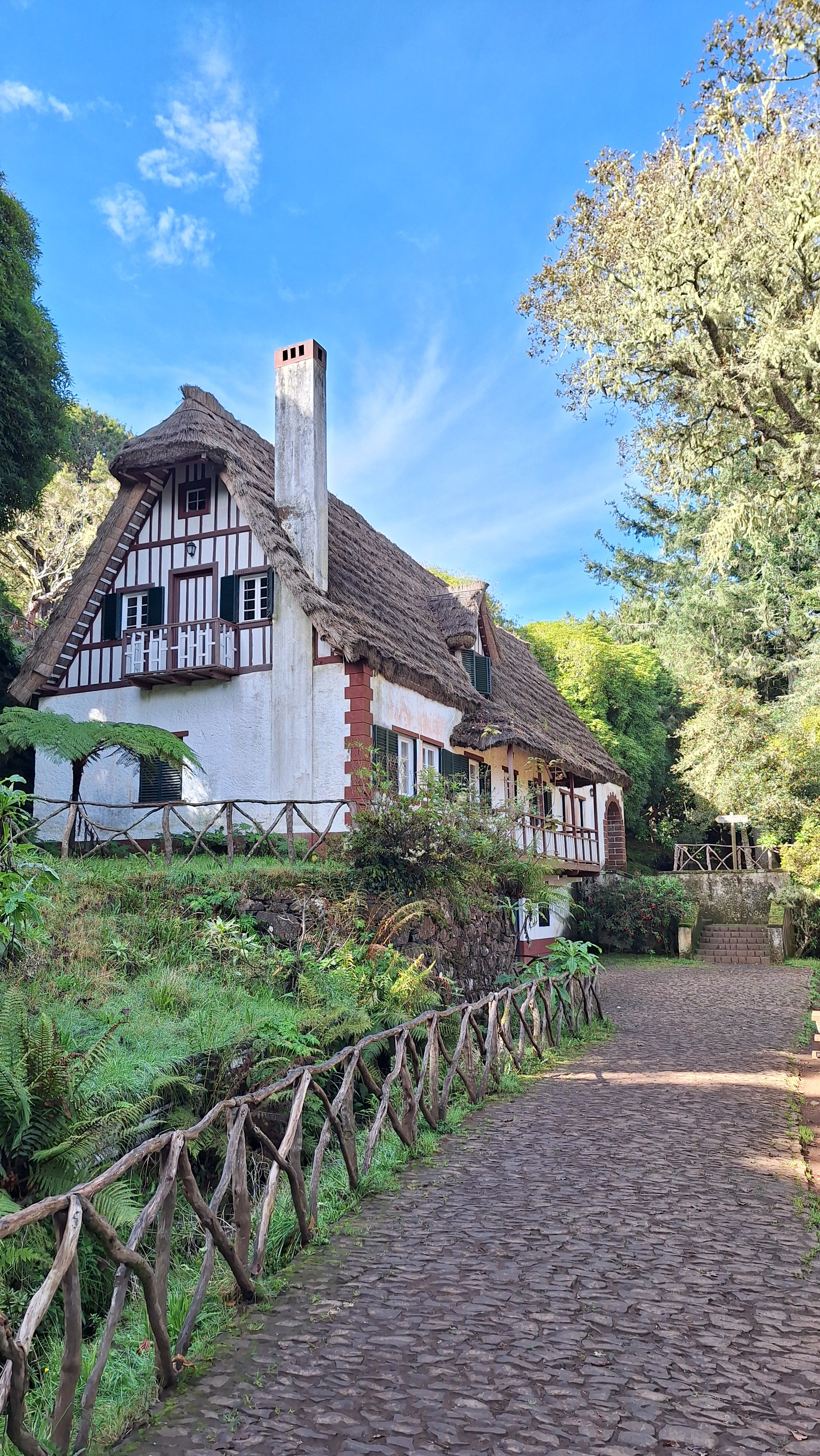 Parque Florestal das Queimadas at the beginning of 'Caminho Para Todos'