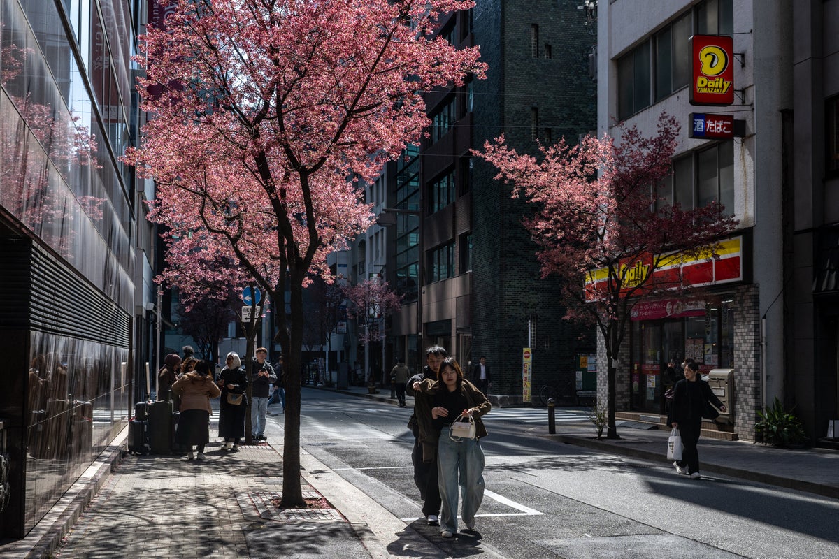 Japan’s population suffers record five-year drop as government fails to ...