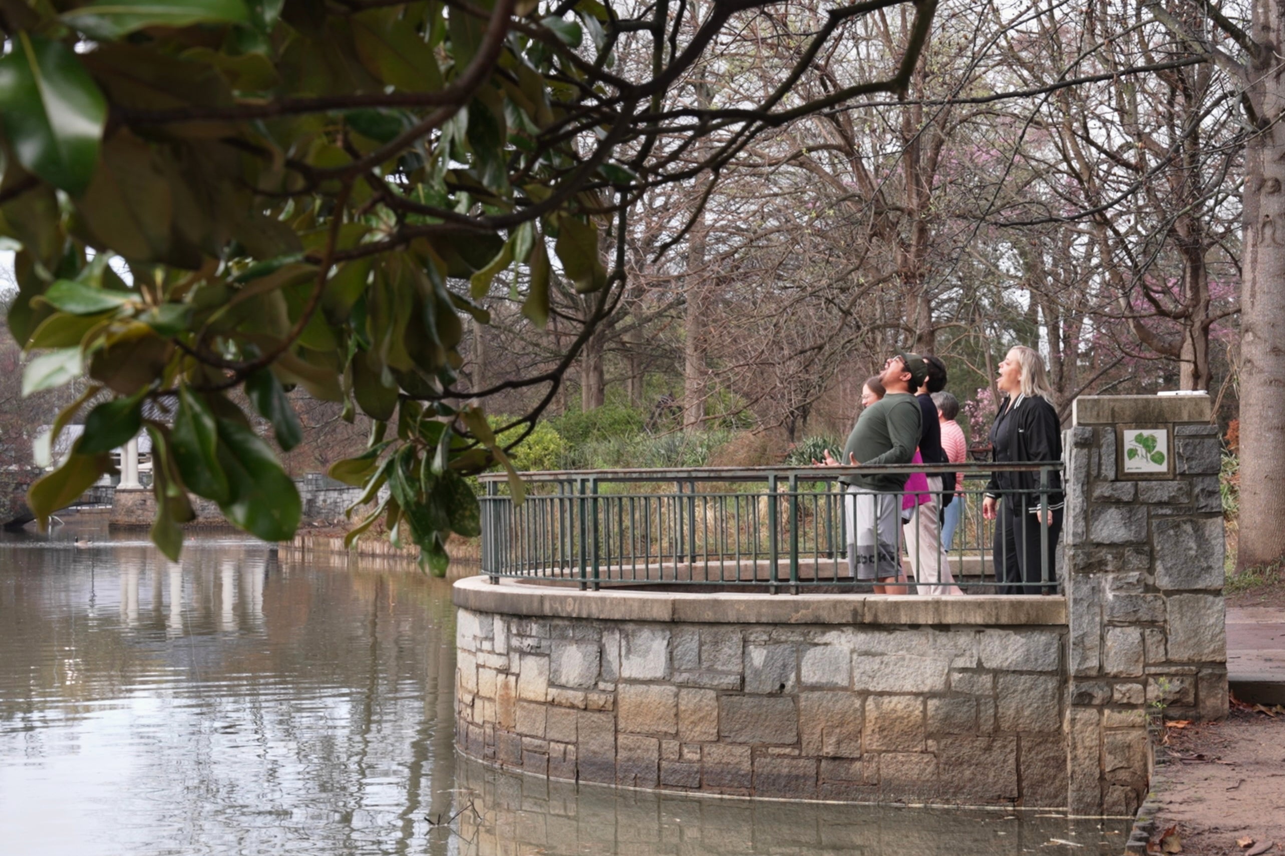 Be Well-Scream Clubs