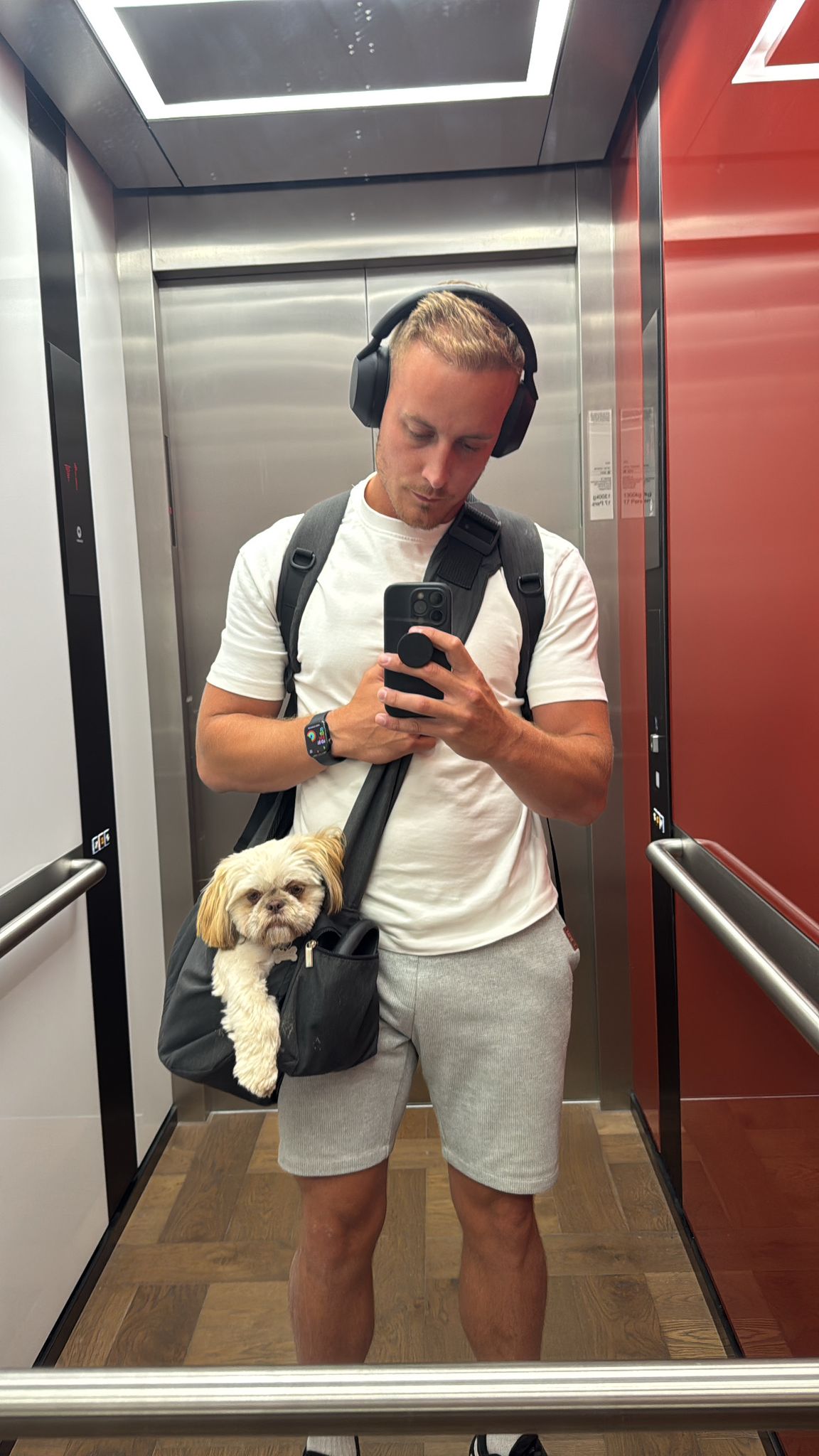 He tries to get 12,000 steps per day walking his dogs