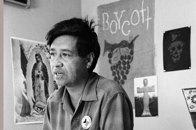 <p>César Chávez, trabajador agrícola y líder sindical del boicot de la uva en California, en una oficina en 1965  </p>