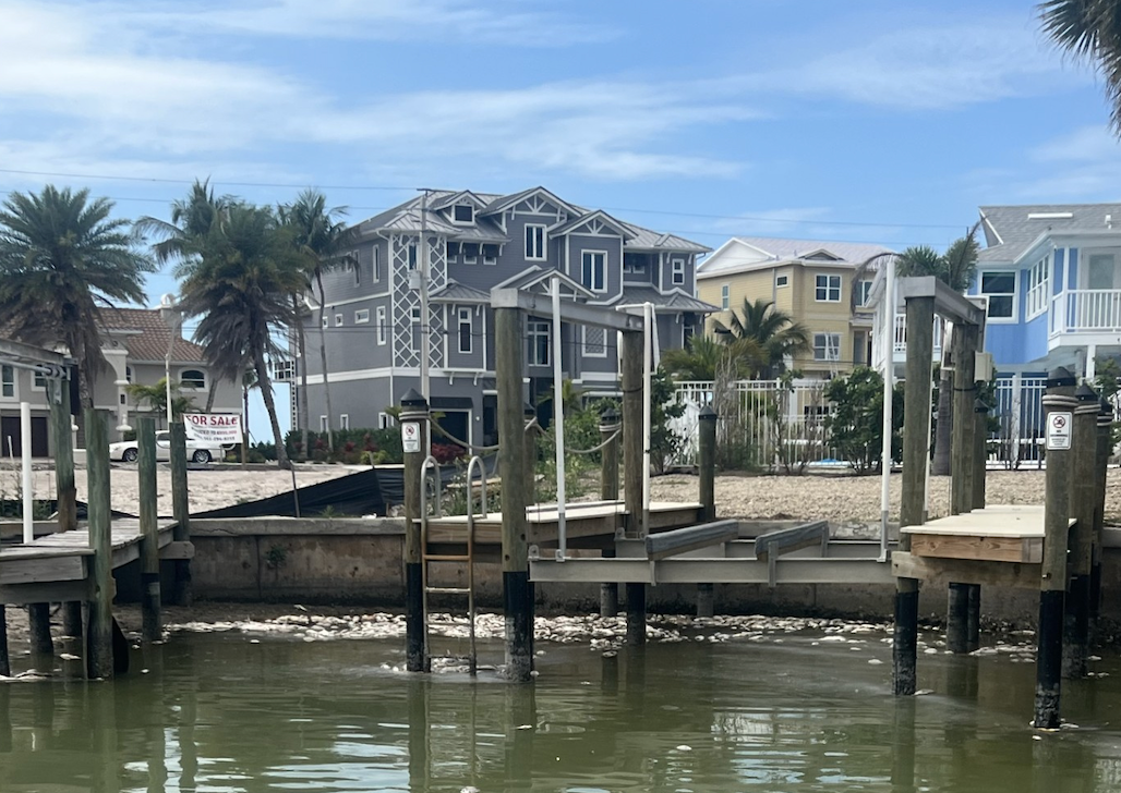 Dozens of dead fish were spotted in the waterway last week, leading town officials to investigate