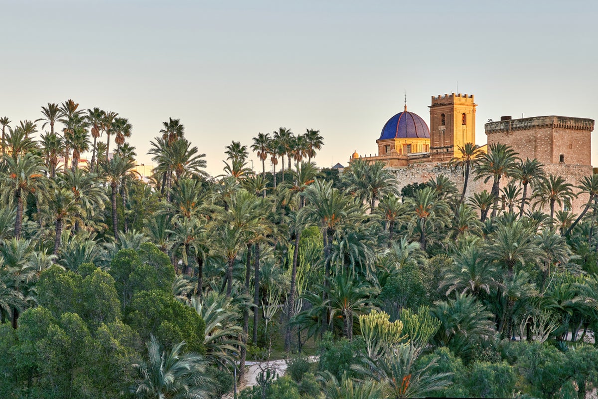 I lived in Spain for two years and Elche is a green, sunny paradise