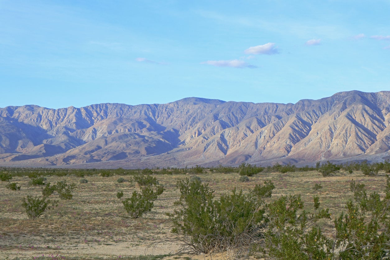 Borrego Springs is a desert community surrounded by the Anza-Borrego Desert State Park