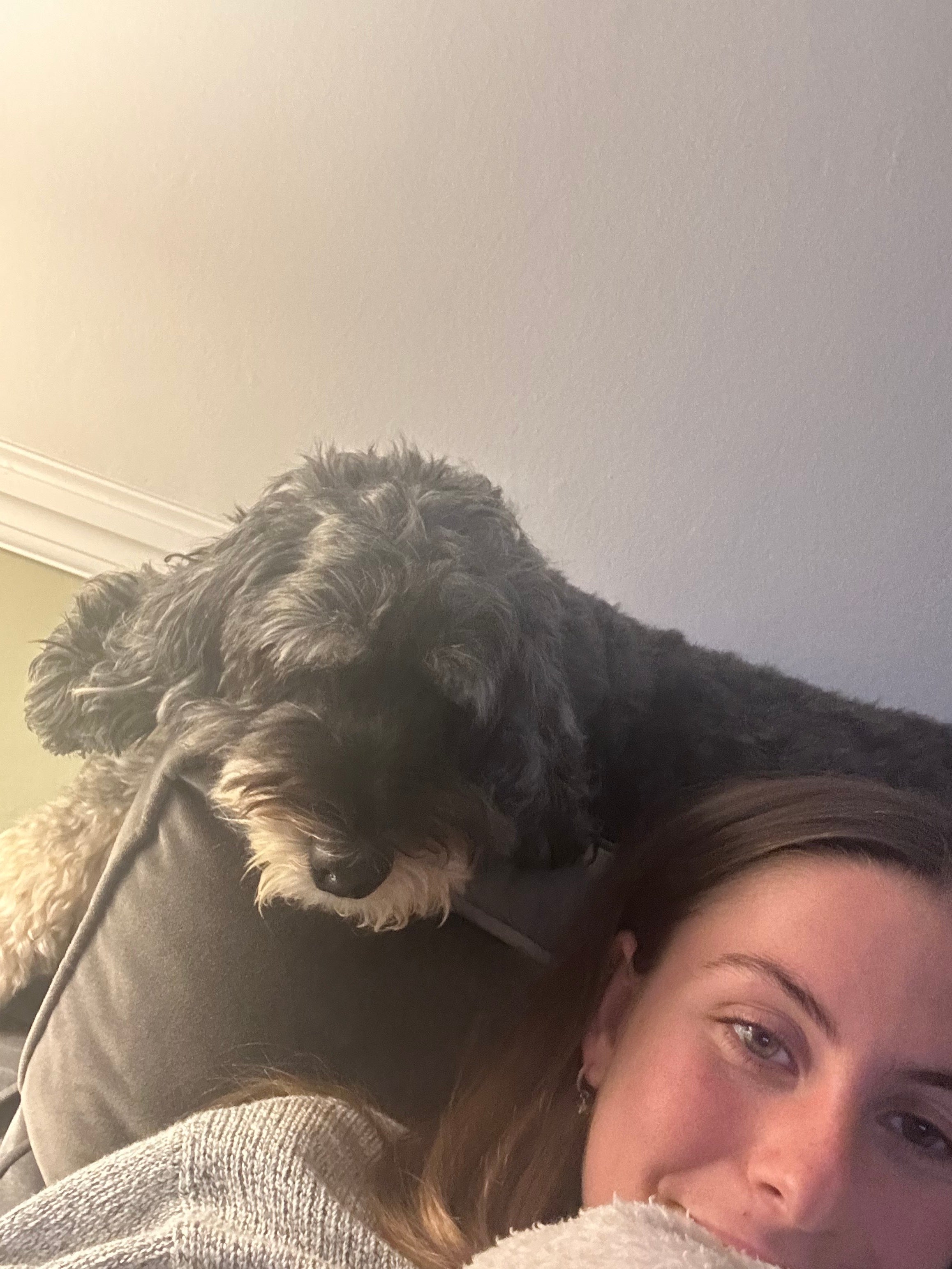 Nearby: Lydia and Elvis chilling on the sofa (for now)