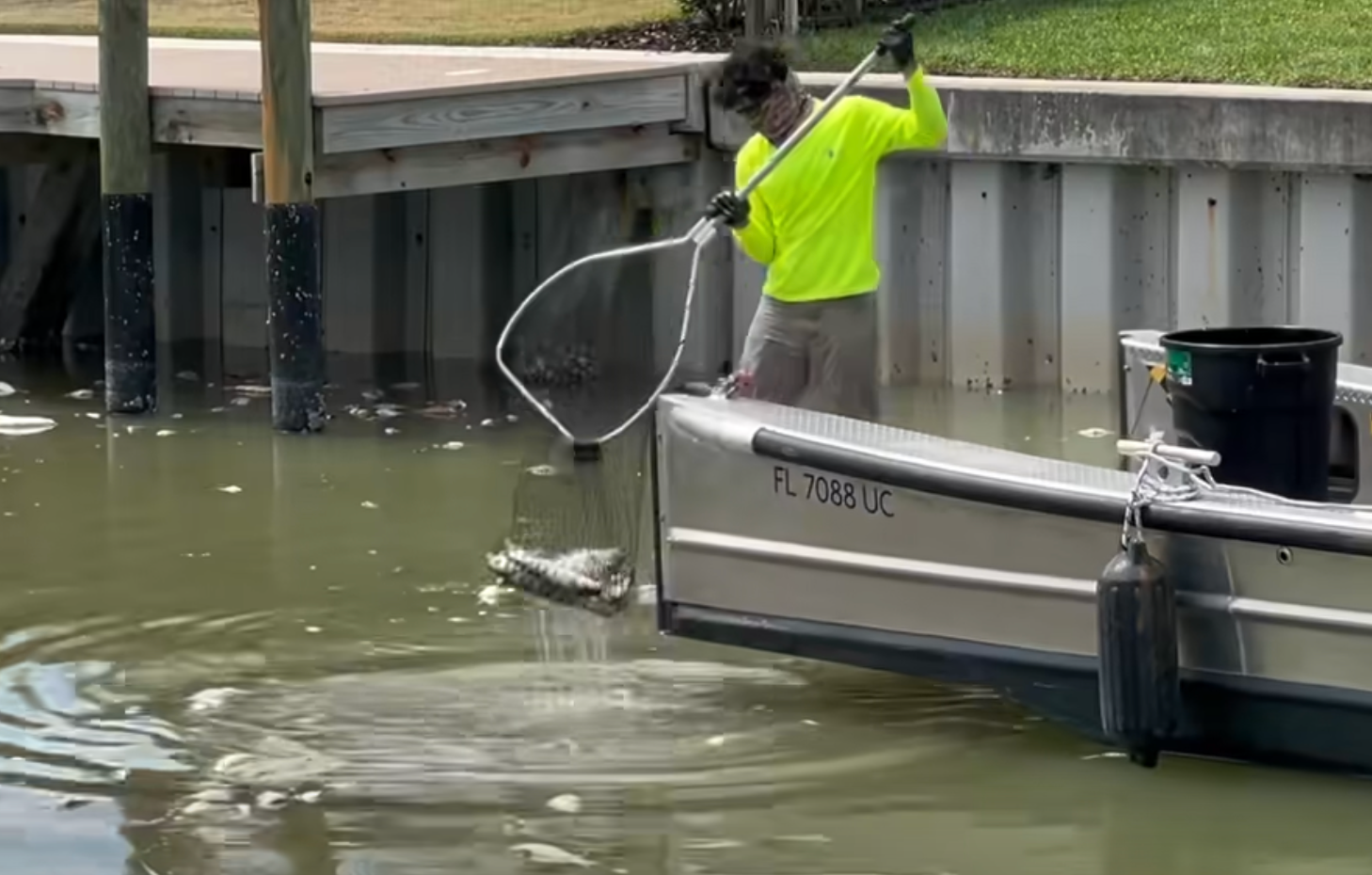 Fertilizer is thought to have killed dozens of fish in a Florida town. Now officials are begging residents to limit its use