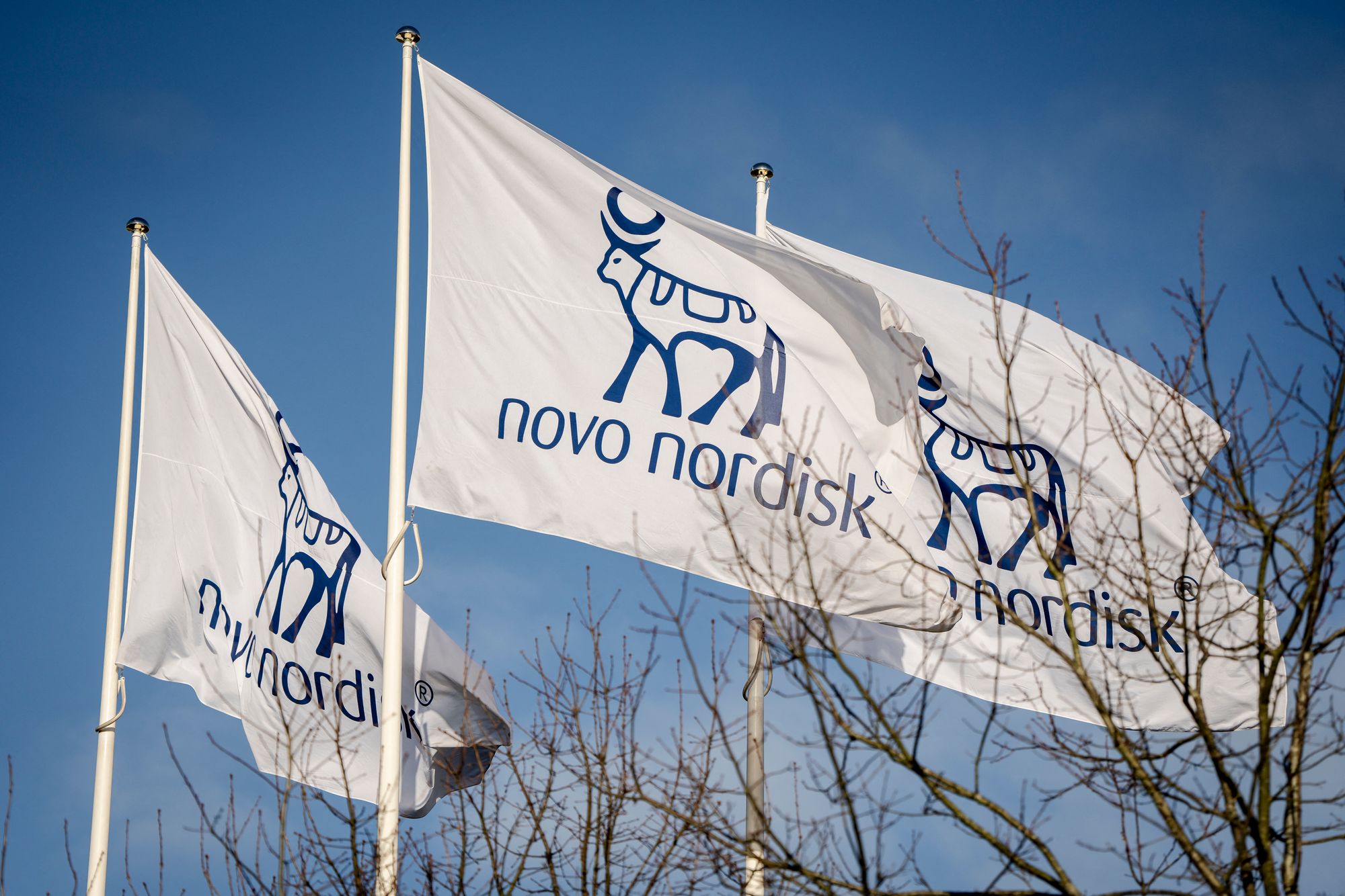 Drugmakers, such as Novo Nordisk, are working to making GLP-1s more accessible. The price is a primary reason patients discontinue the drugs