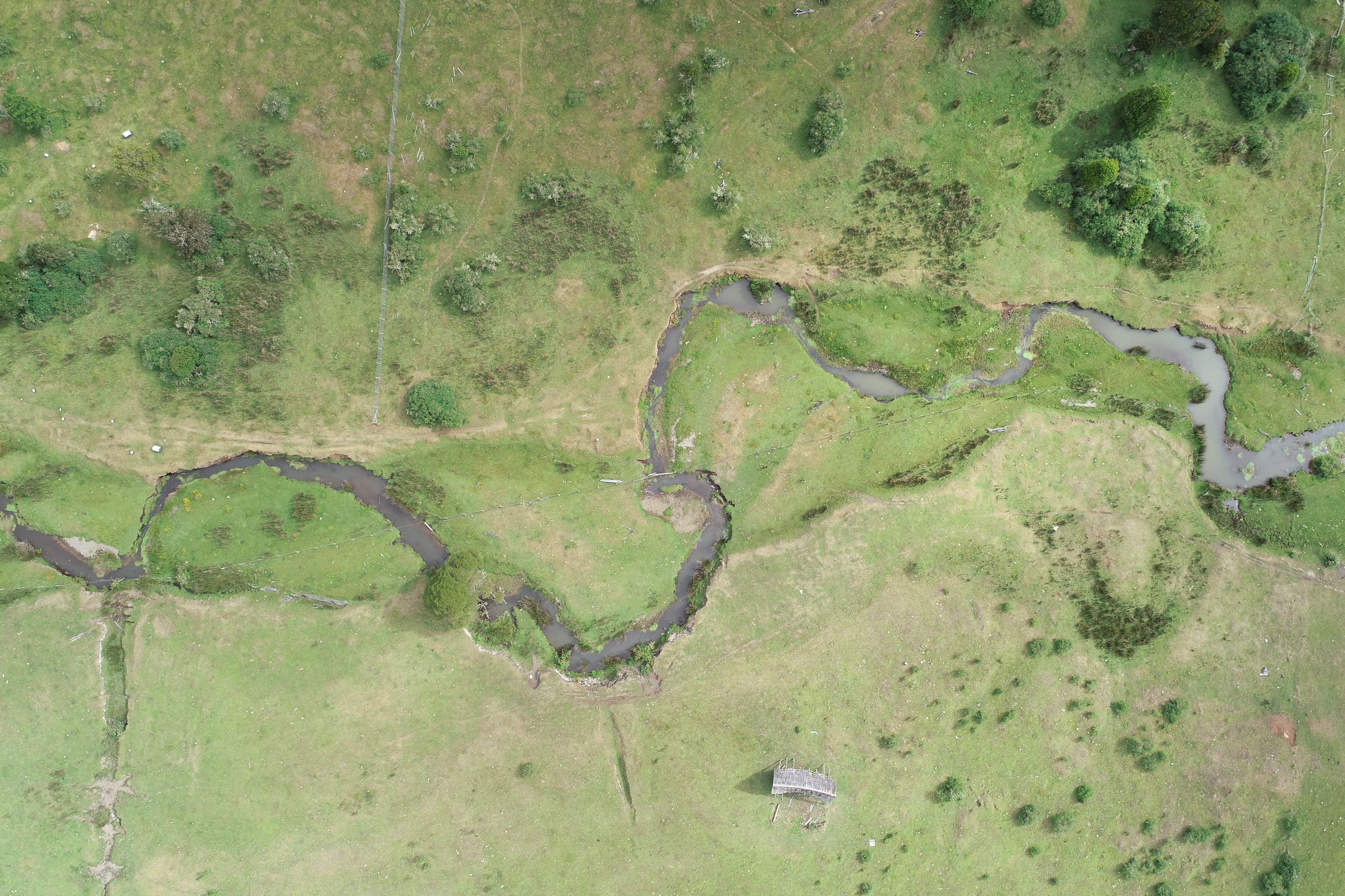 An overhead view of the Monte Verde archaeological site in Chile