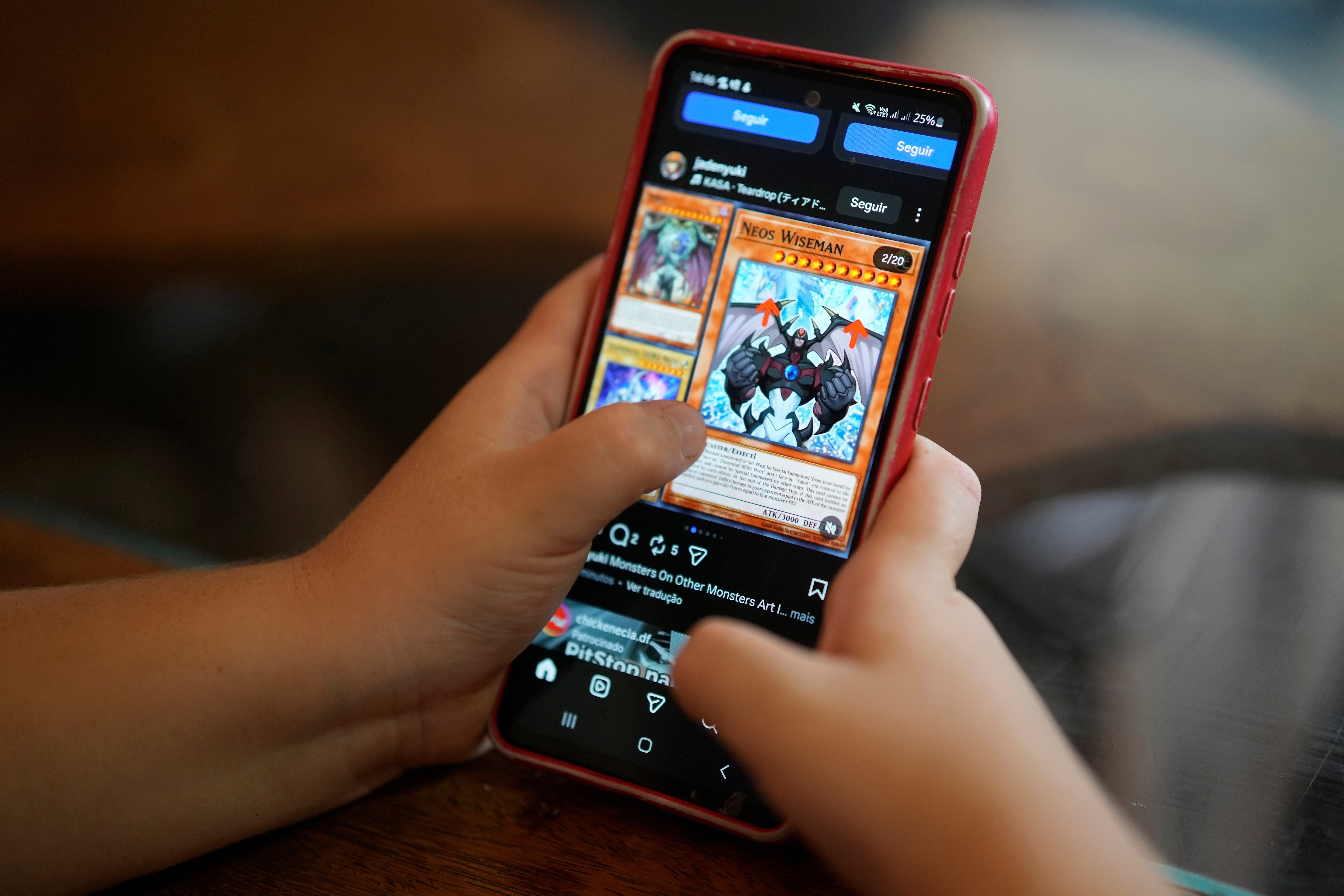 BRASIL-RESTRICCIONES EN LÍNEA