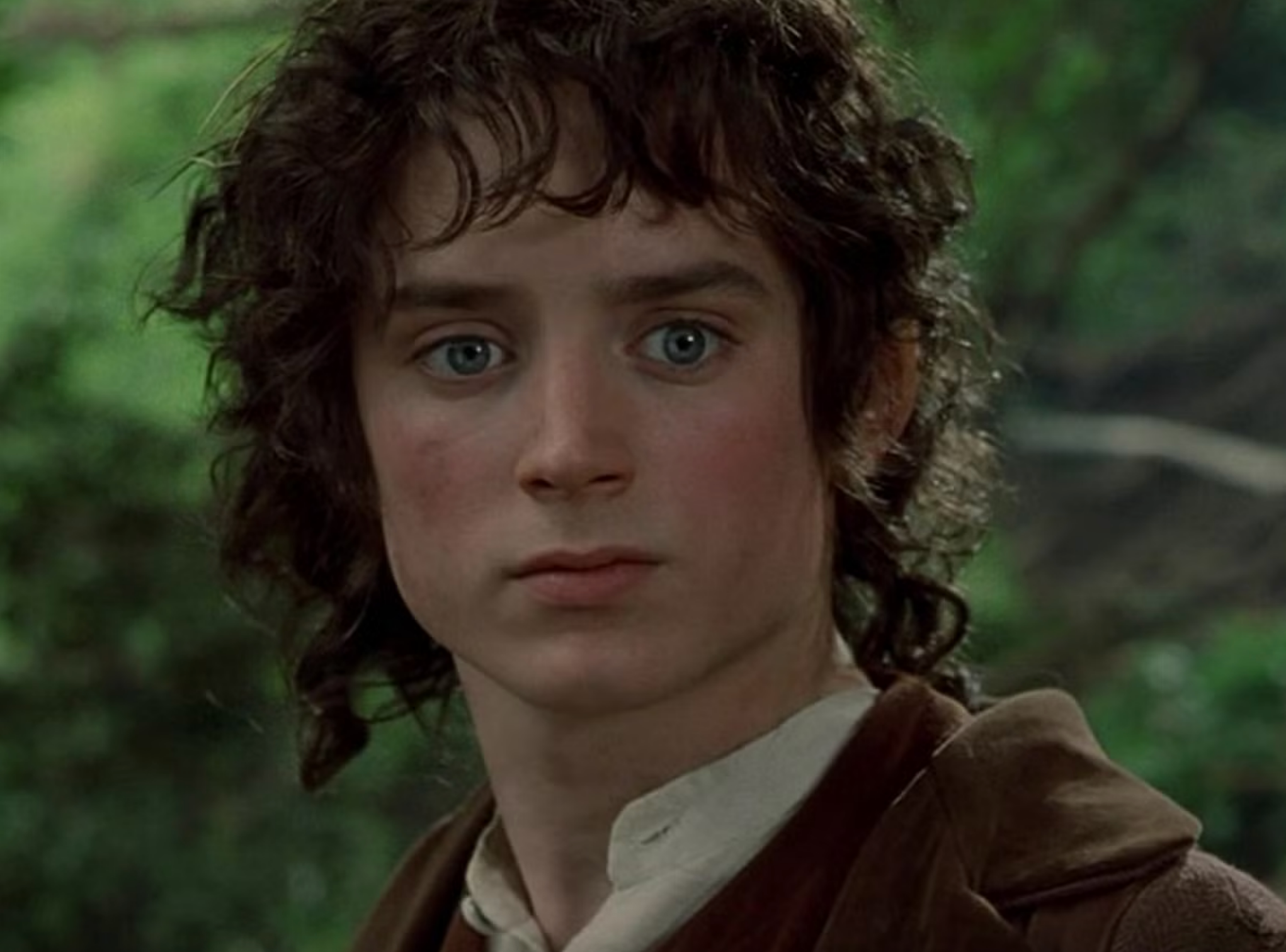 Elijah Wood drops Lord of the Rings book bombshell: &lsquo;I&rsquo;m so embarrassed&rsquo;