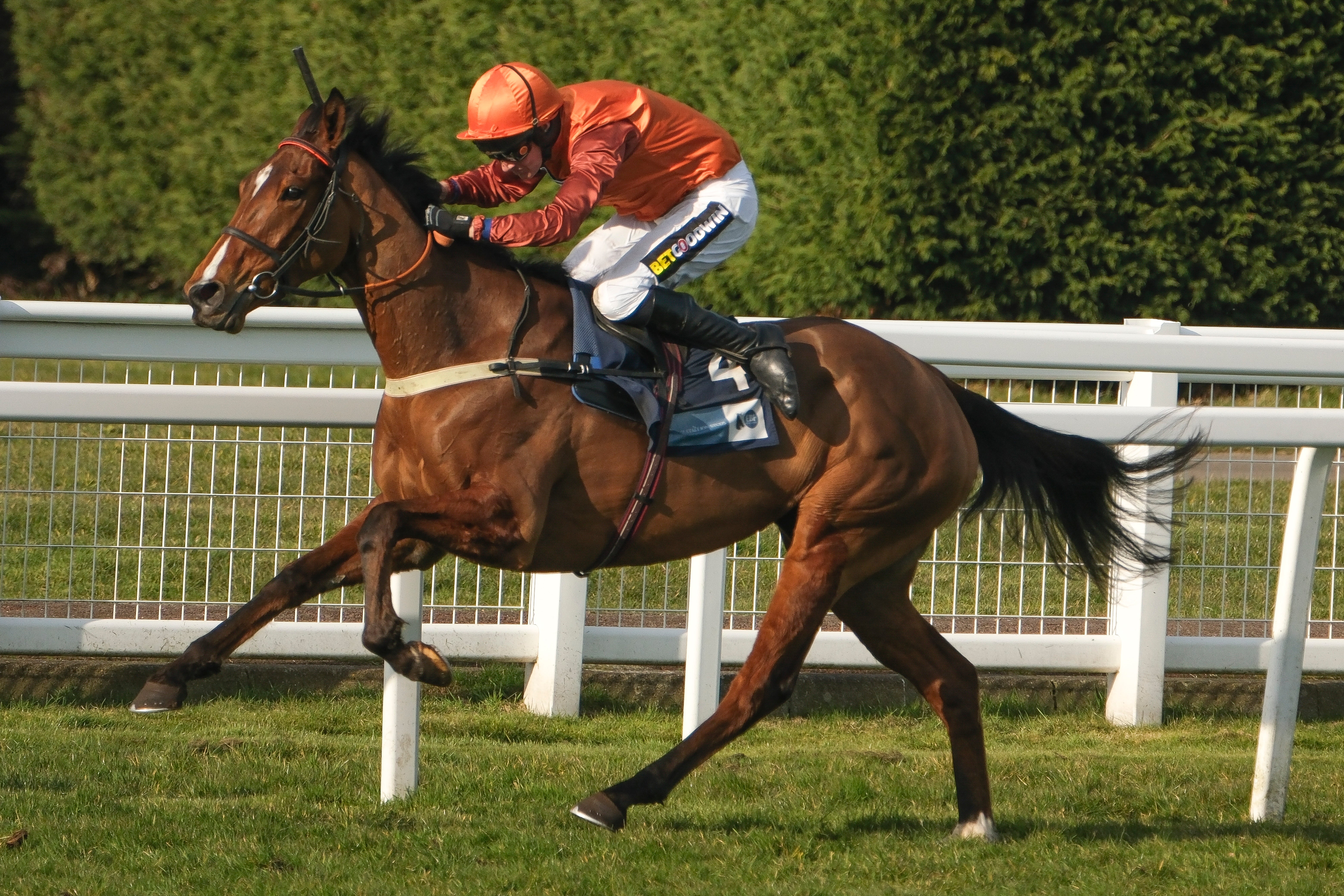 Saturday Racing Tips | Newbury & Kelso Best Bets & Odds | The Independent
