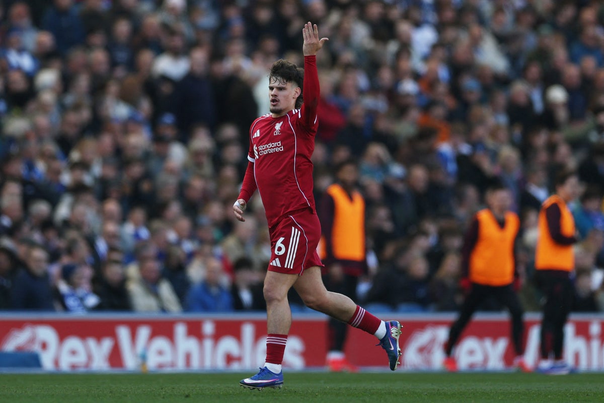 Brighton vs Liverpool LIVE: Latest score and updates from Premier League Brighton vs Liverpool LIVE: Latest score and updates from Premier League