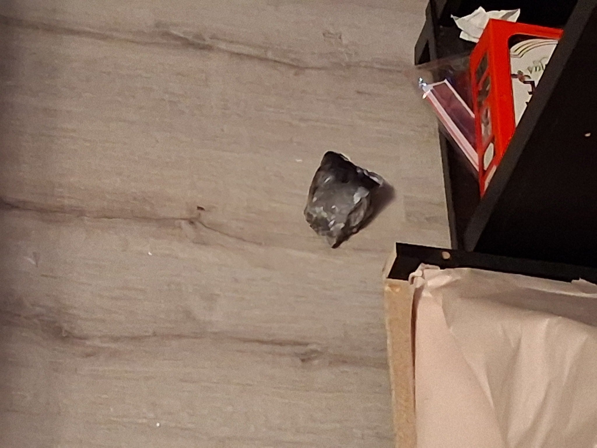 Texas woman says meteorite crashed through her roof after loud boom heard over Houston