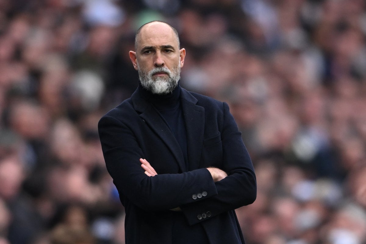 Igor Tudor leaves Tottenham Hotspur as club faces serious threat of relegation - The Independent