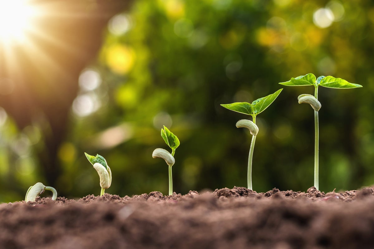 How Evergreen Garden Care is putting people and planet first