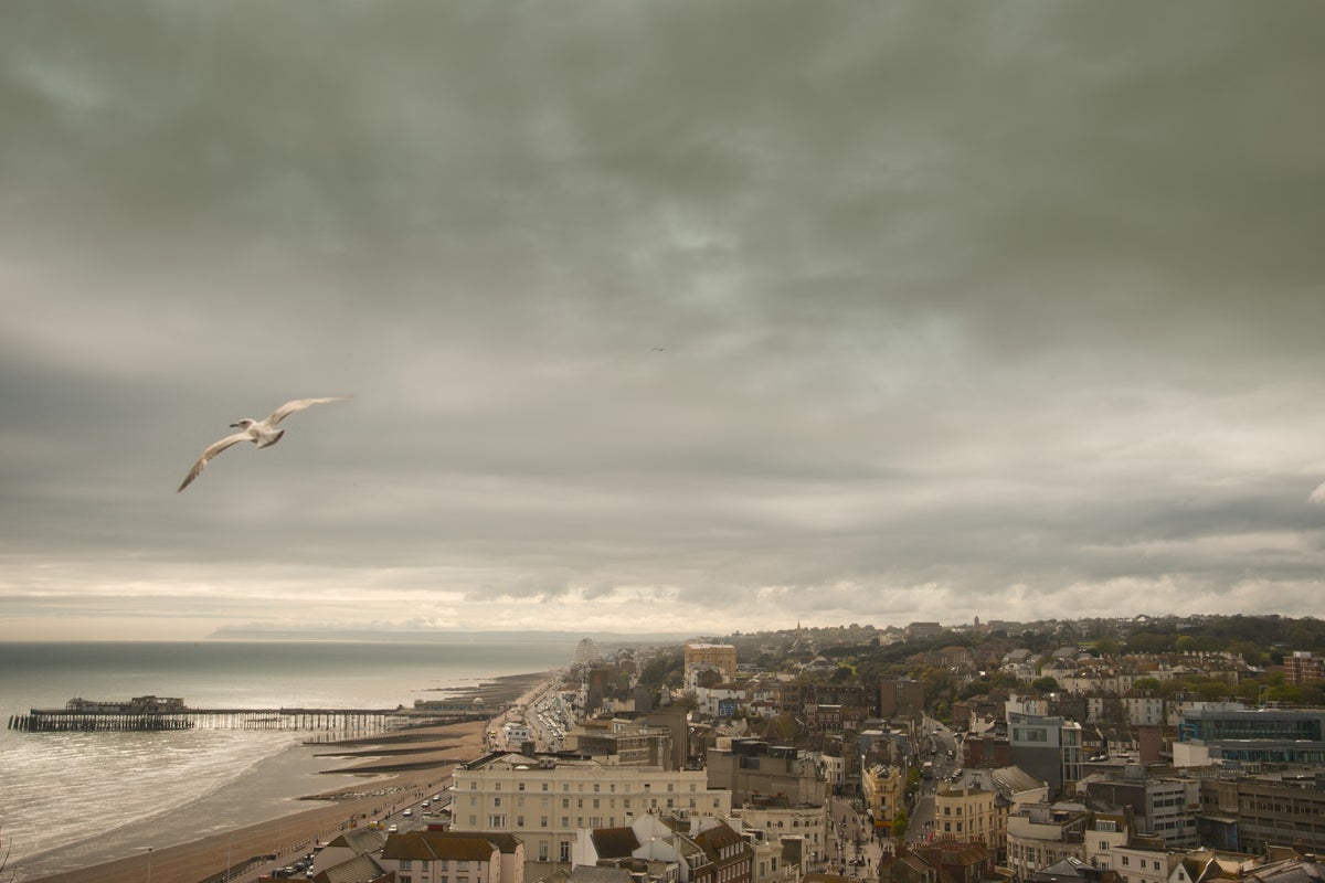 Tories’ political domination in Sussex set for its biggest test in decades Tories’ political domination in Sussex set for its biggest test in decades