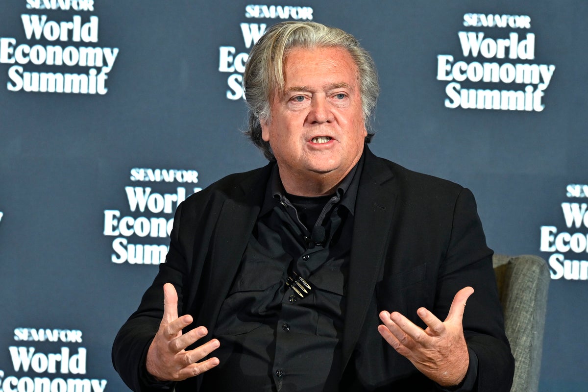 Steve Bannon gives ominous warning linking ICE in airports to what could happen in midterm elections Steve Bannon gives ominous warning linking ICE in airports to what could happen in midterm elections